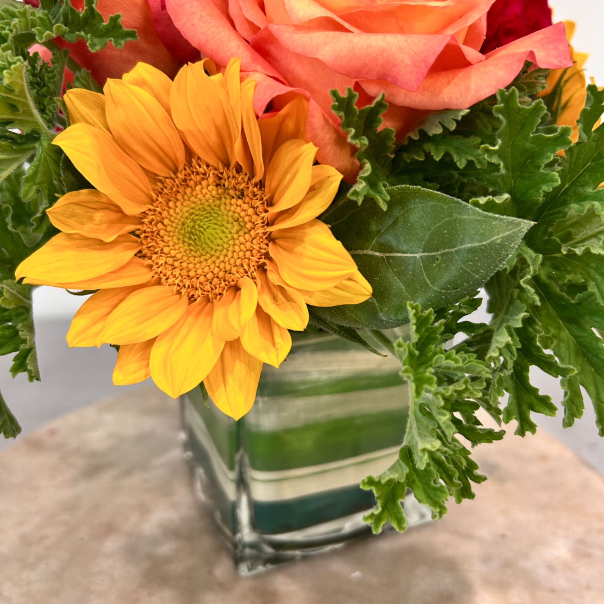 Sunflower and peach rose arrangement in a square glass vase