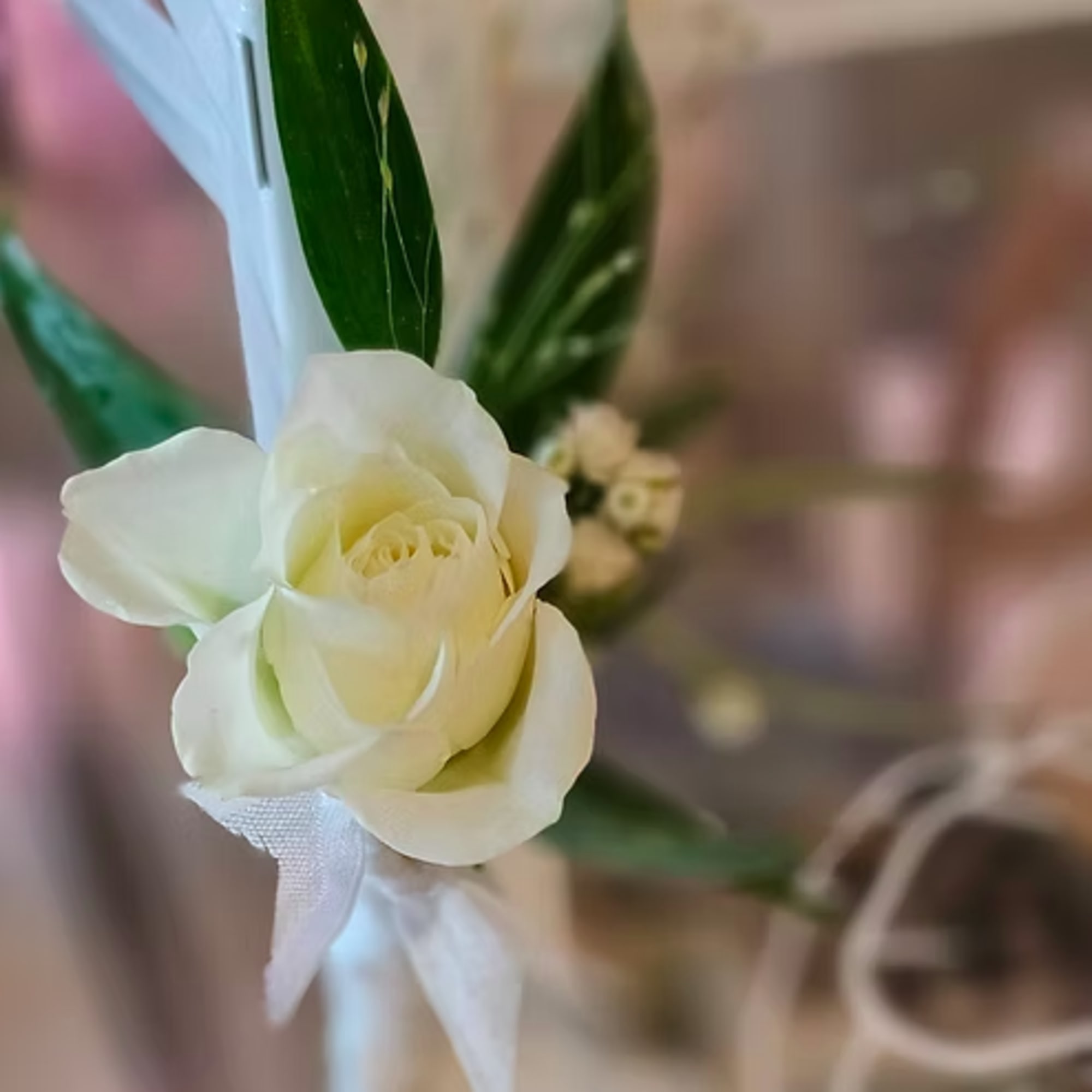 White rose boutonniere with green leaves and a white ribbon