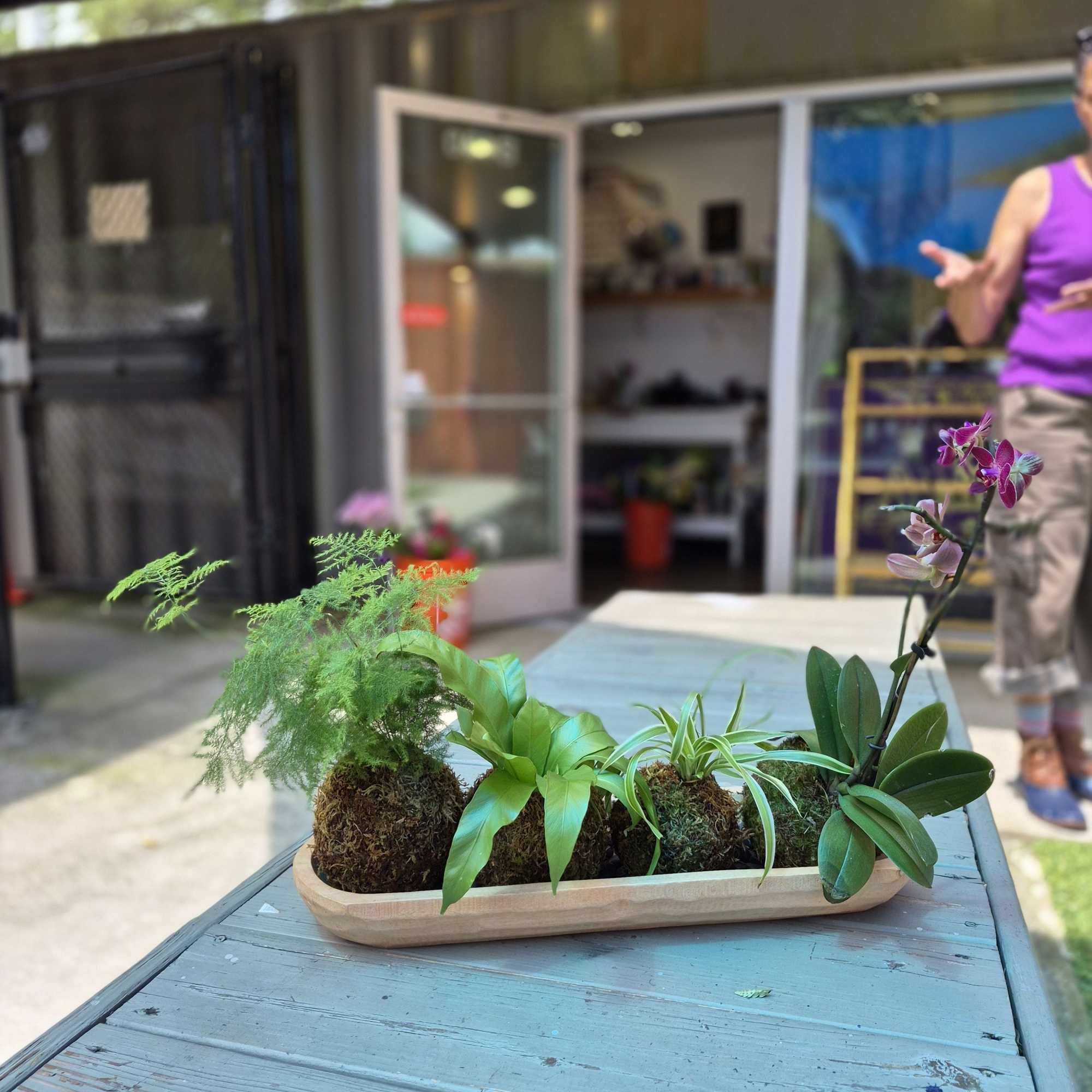 A sculptural, living kokedama that brings a calm, contemporary vibe to any