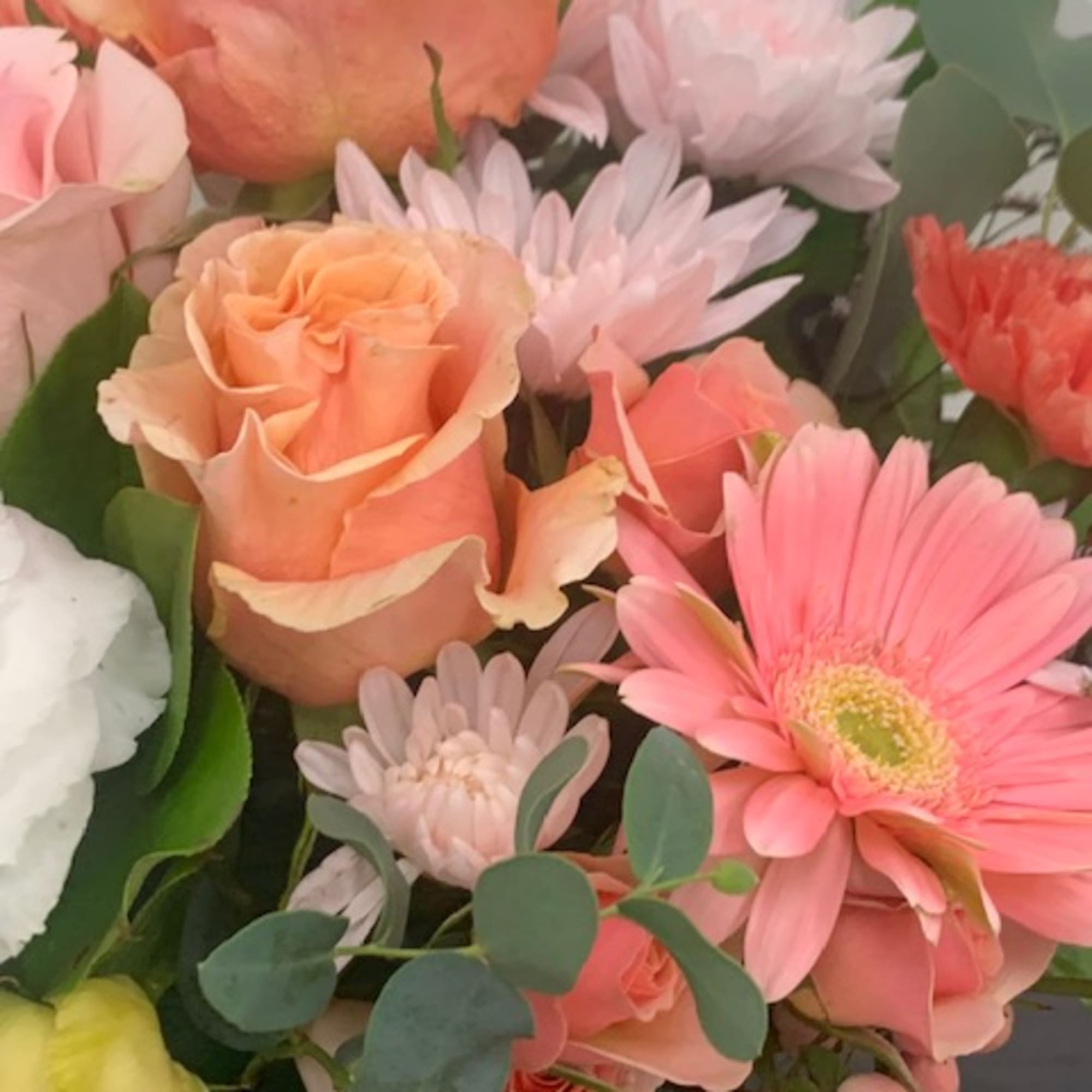 Bouquet of peach roses, pink gerbera daisies, and pale chrysanthemums