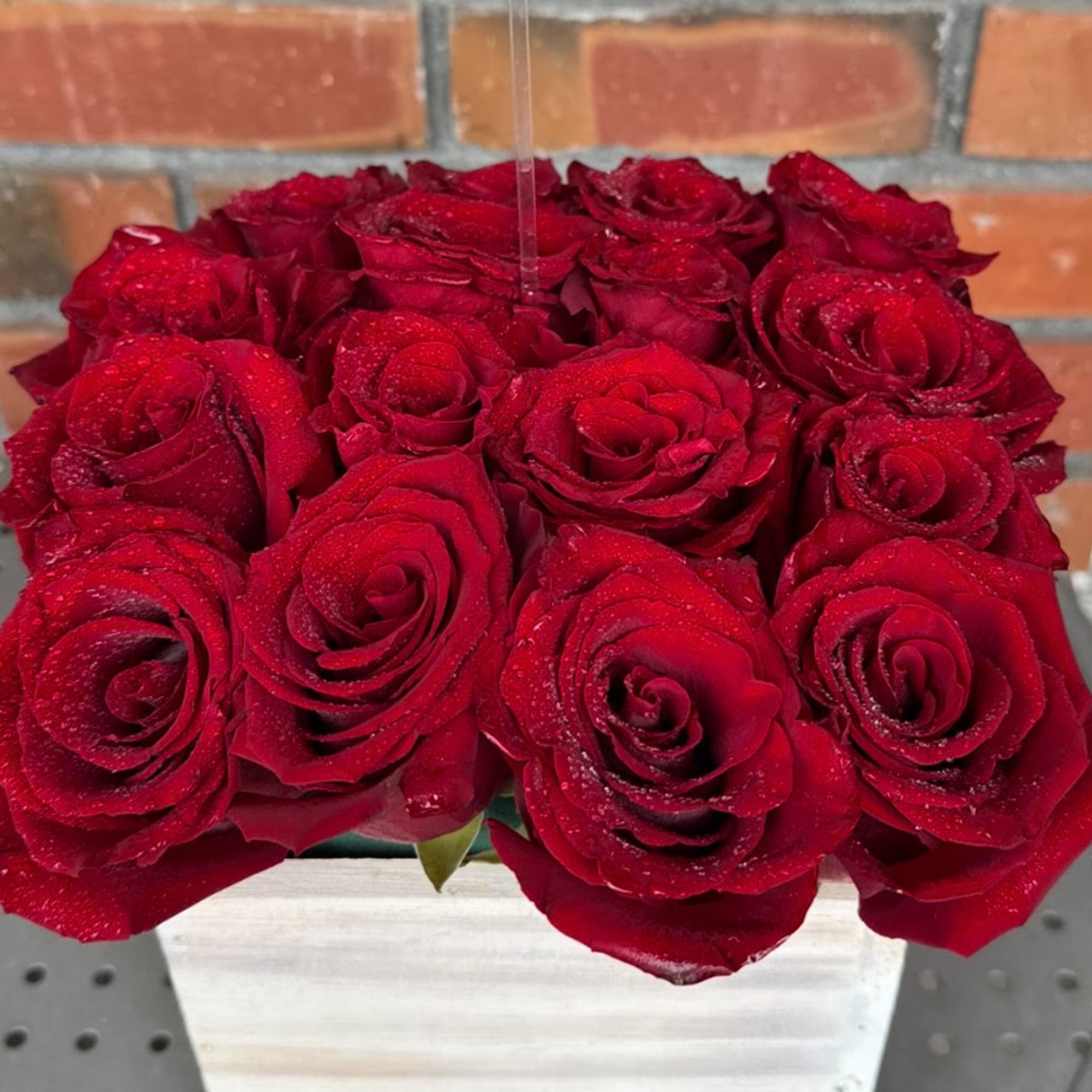 Red roses arranged in a white square vase