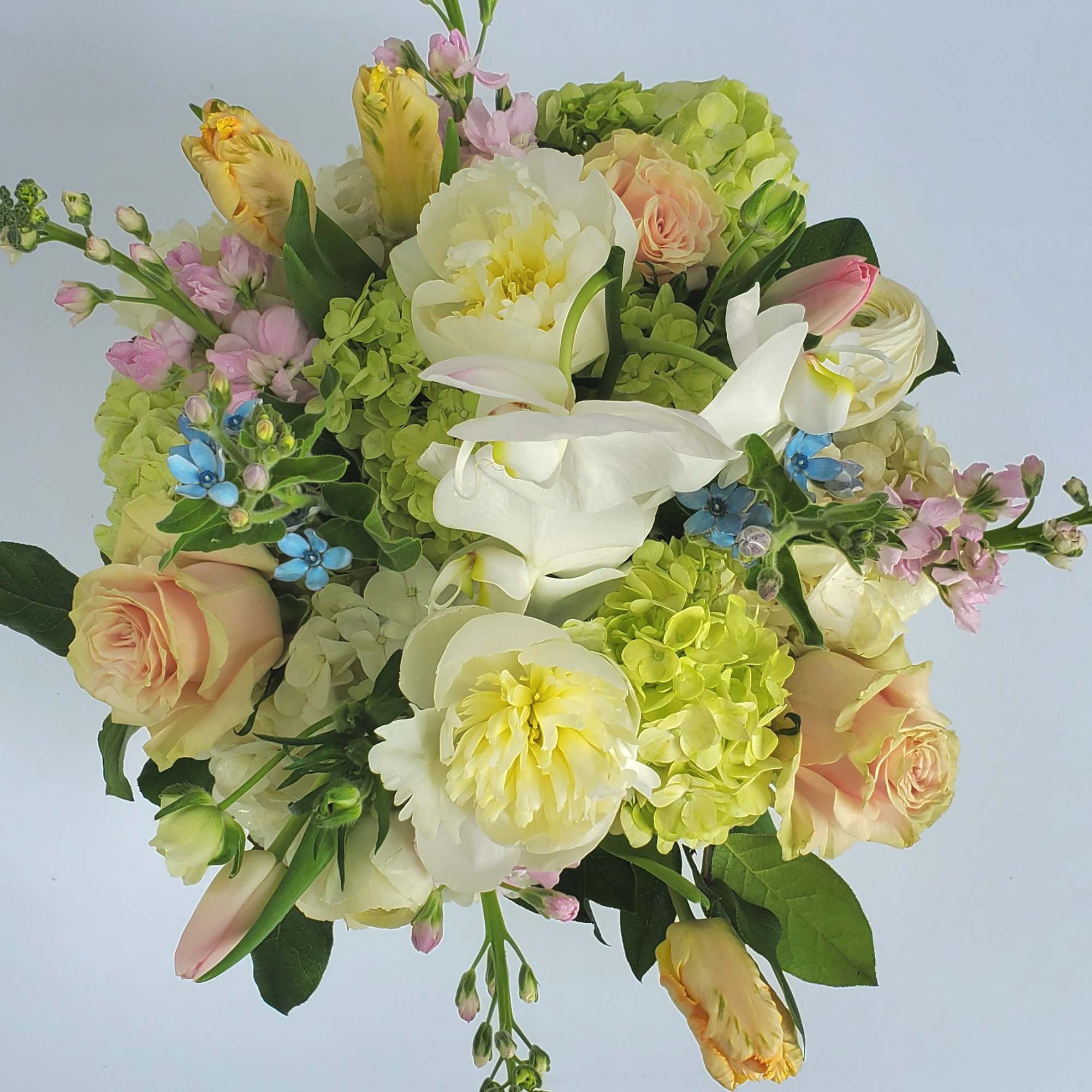 Soft pastel bouquet with green hydrangeas, white peonies, peach roses, tulips, and blue accent flowers