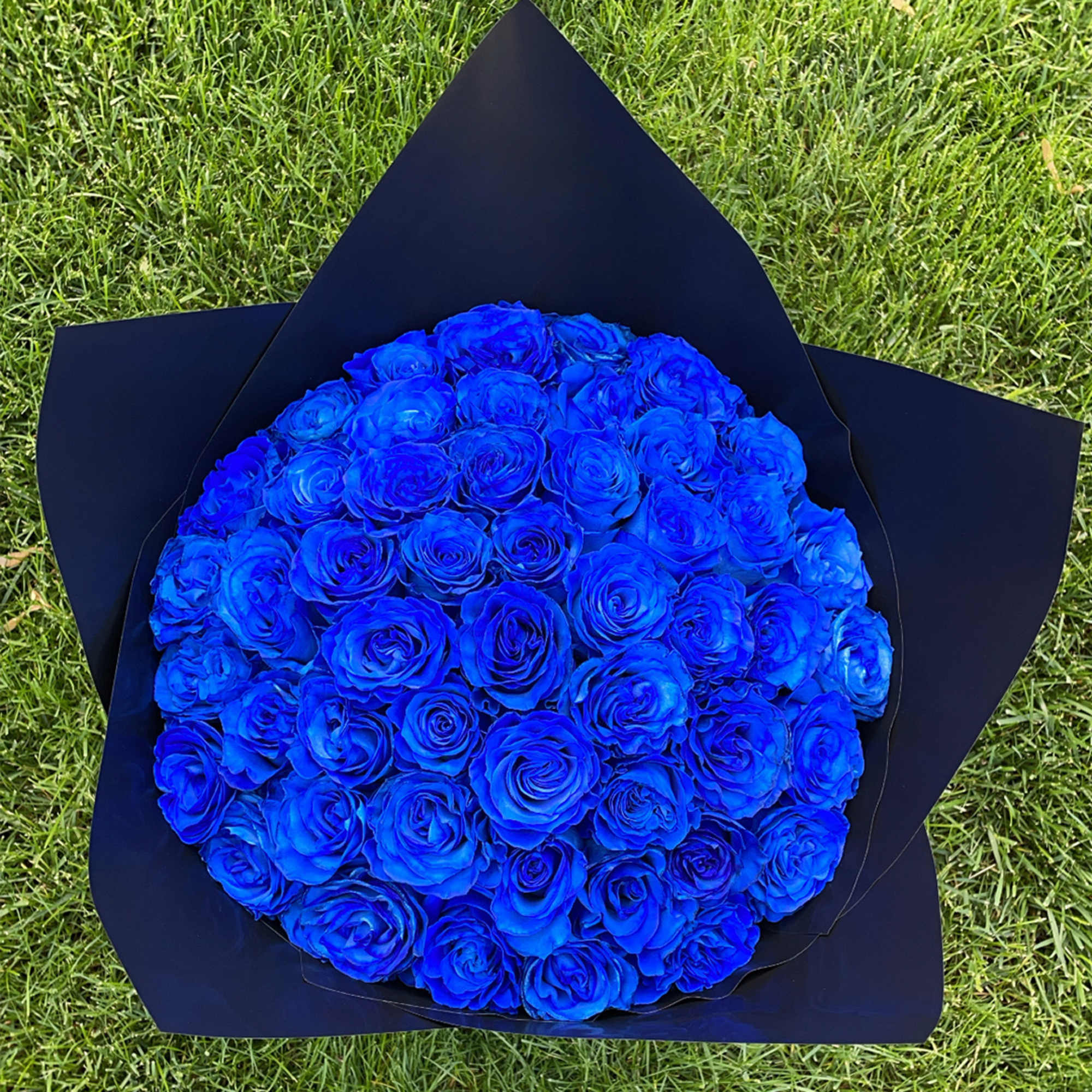 Bouquet of vivid blue roses wrapped in dark paper