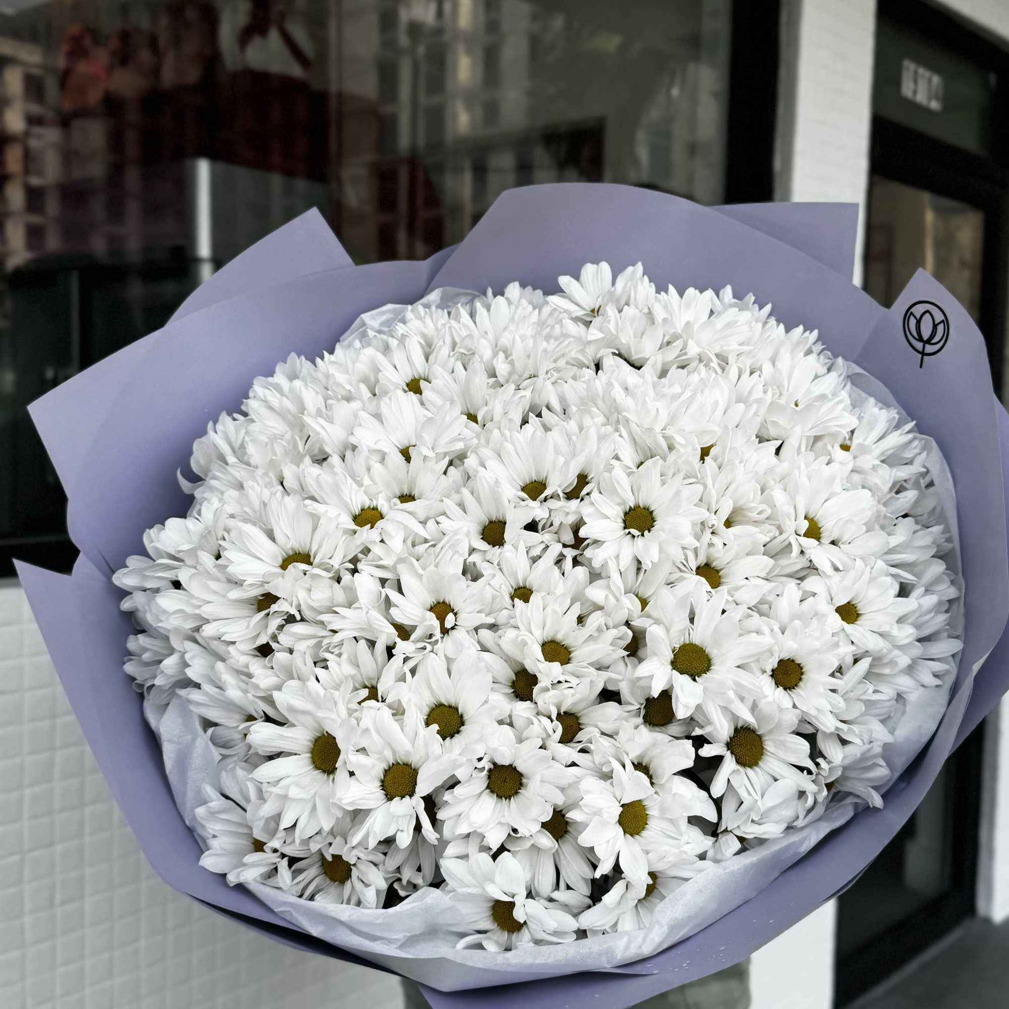 Large bouquet of white daisies wrapped in lavender paper, photo 2 of 5