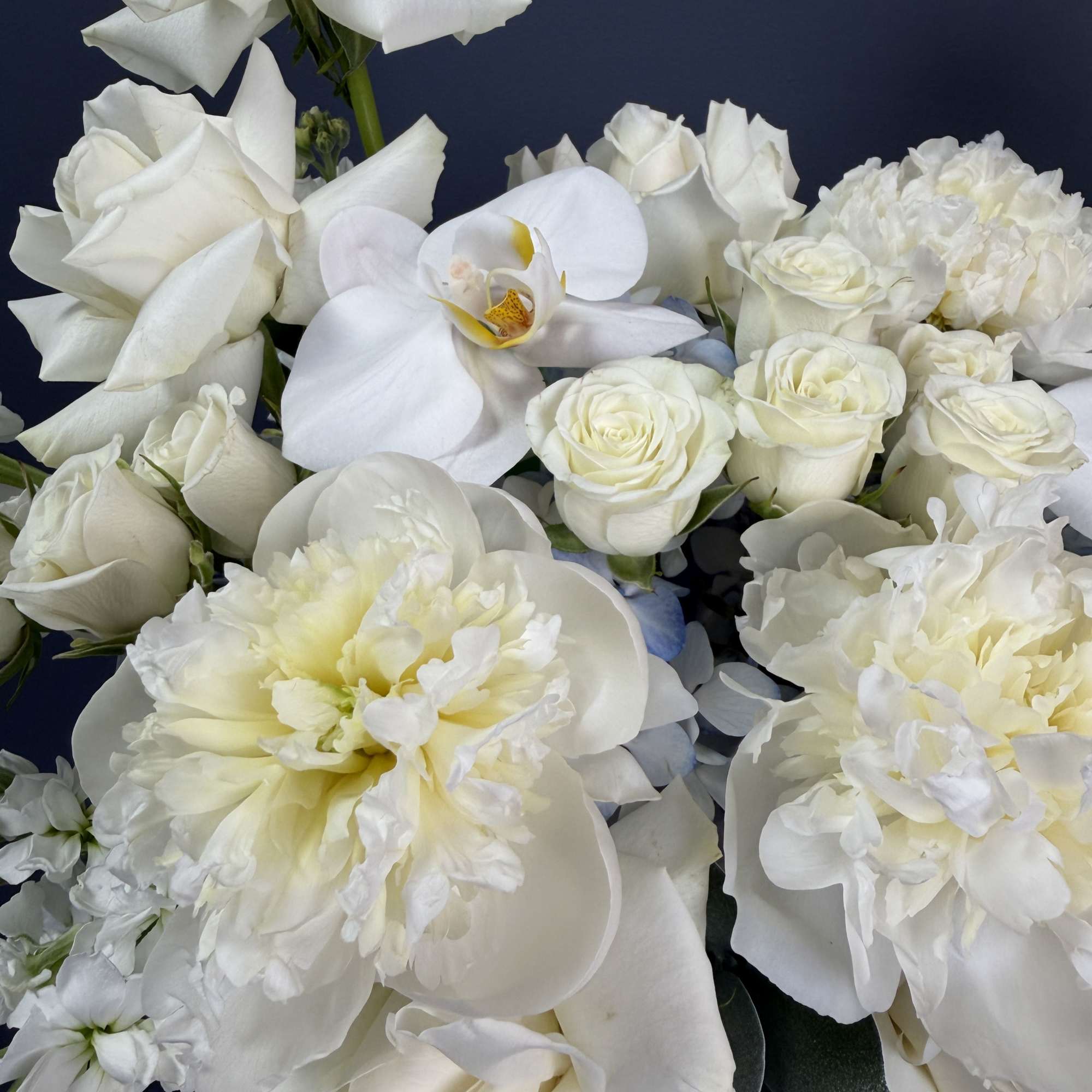 A cloud of white blooms-roses, phalaenopsis orchids, peony-like blossoms, carnations and tall, photo 4 of 4