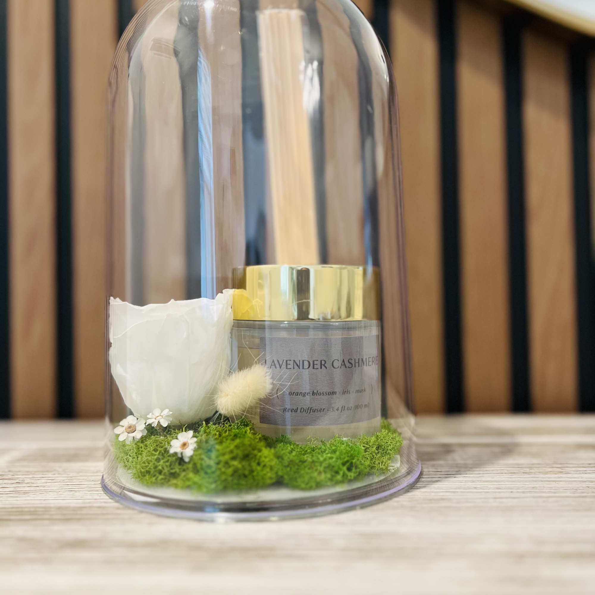 White rose and diffuser under a clear dome with moss