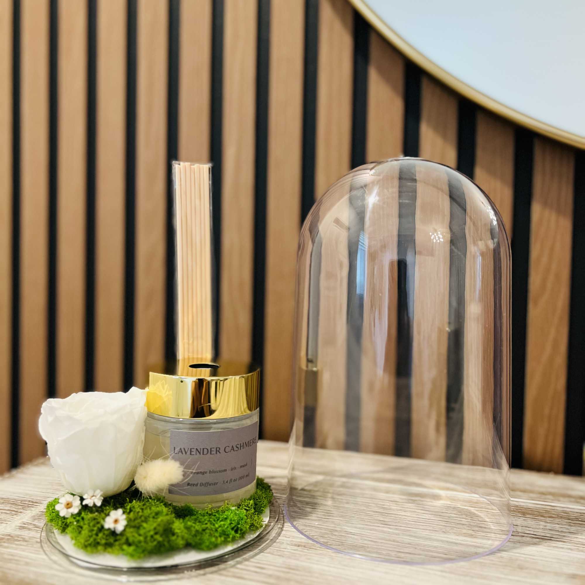 White rose and reed diffuser under a clear dome