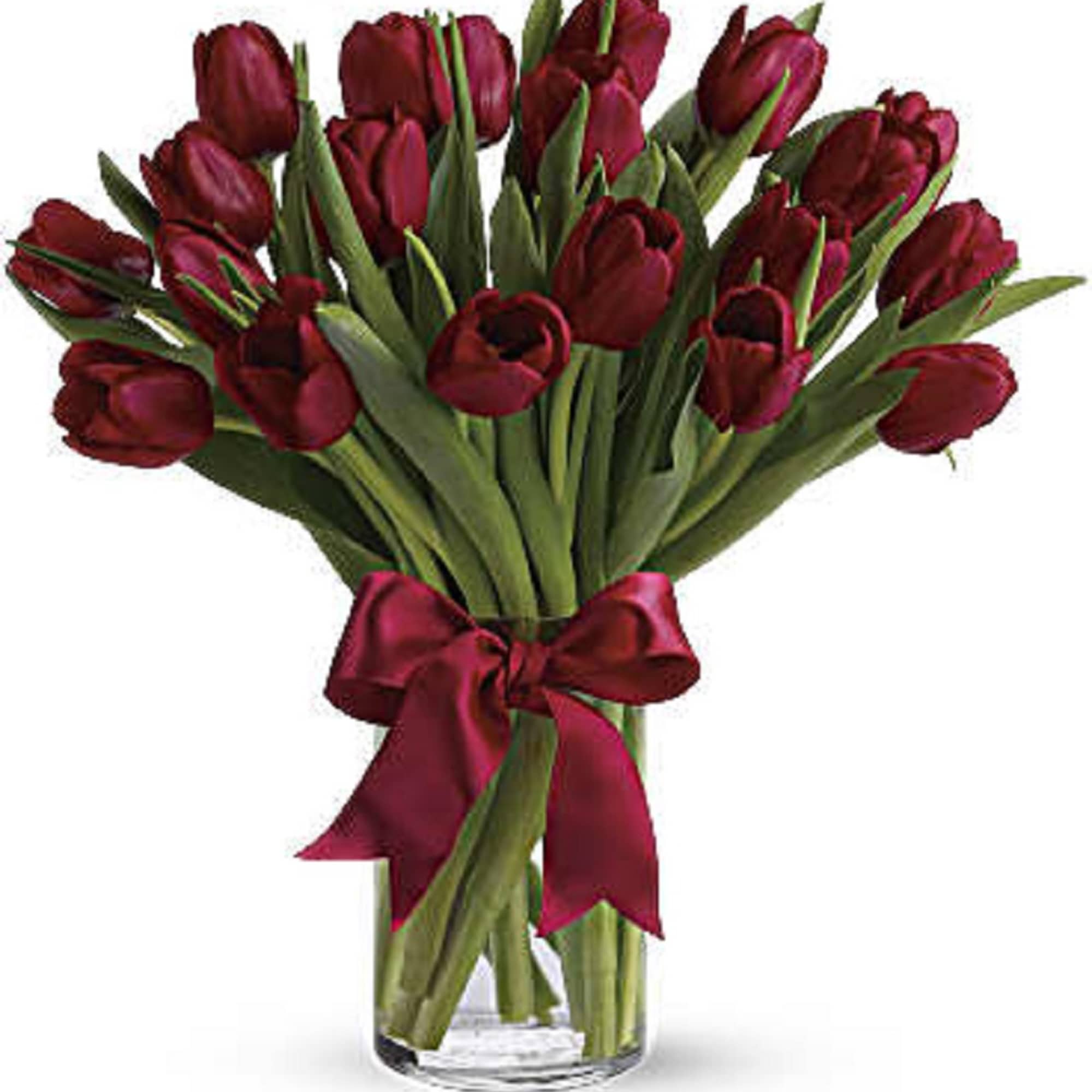 Bouquet of deep red tulips in a clear glass vase with a burgundy ribbon