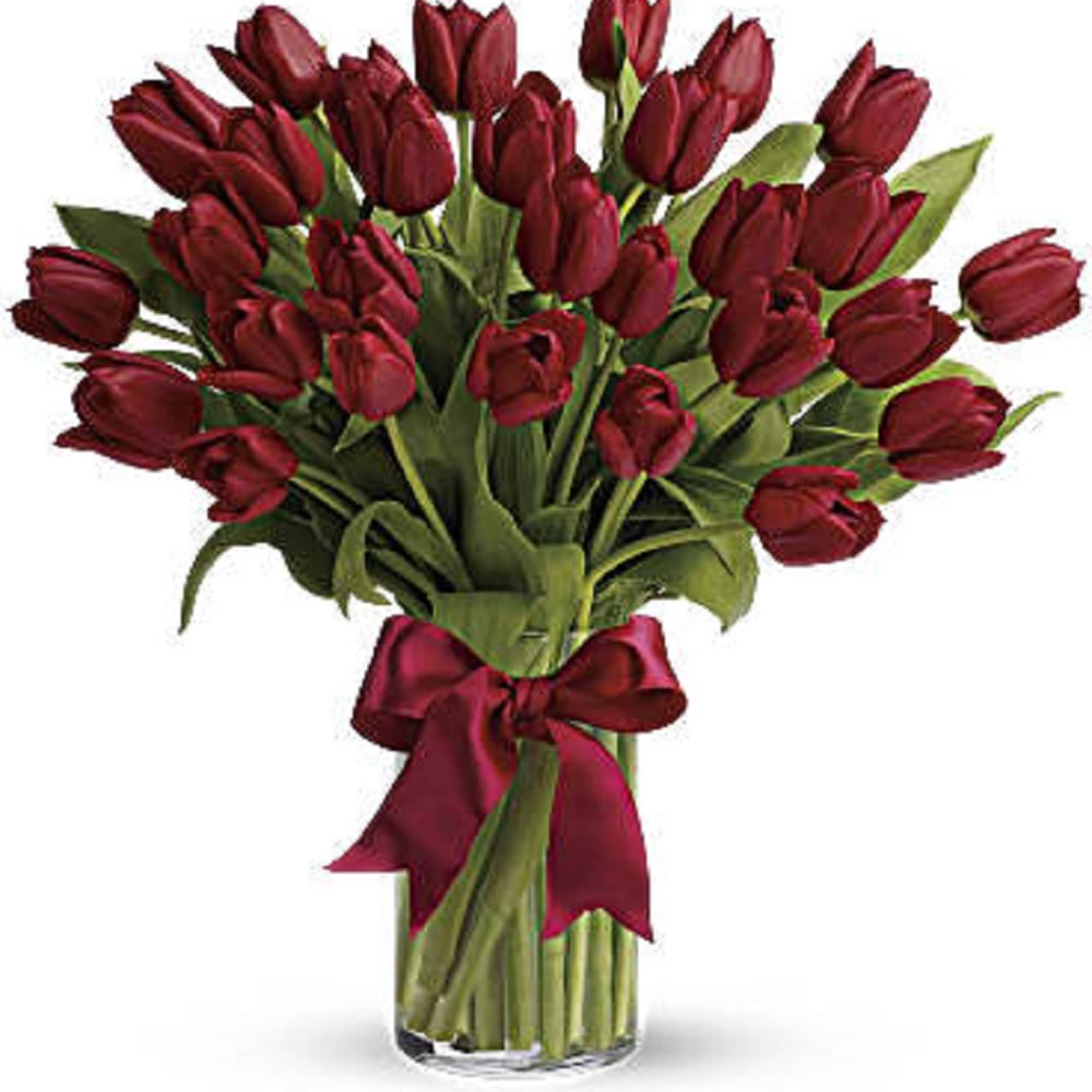 Bouquet of deep red tulips in a clear glass vase with a satin ribbon