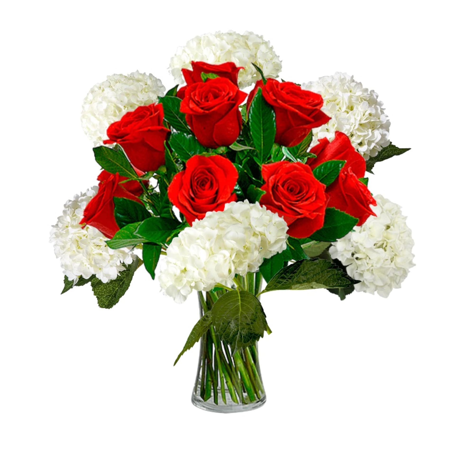Red roses and white hydrangeas in a clear glass vase