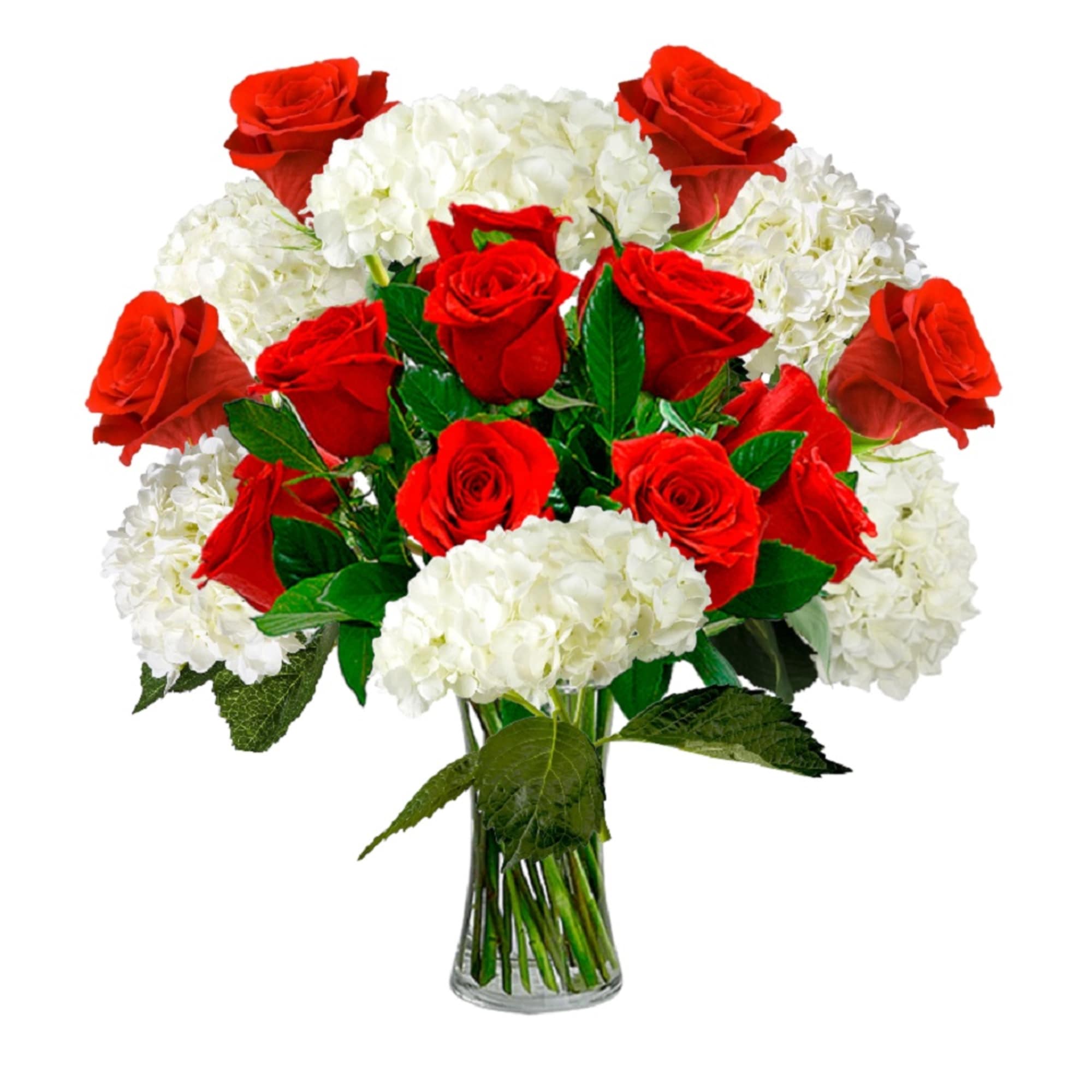 Red roses and white hydrangeas in a clear glass vase