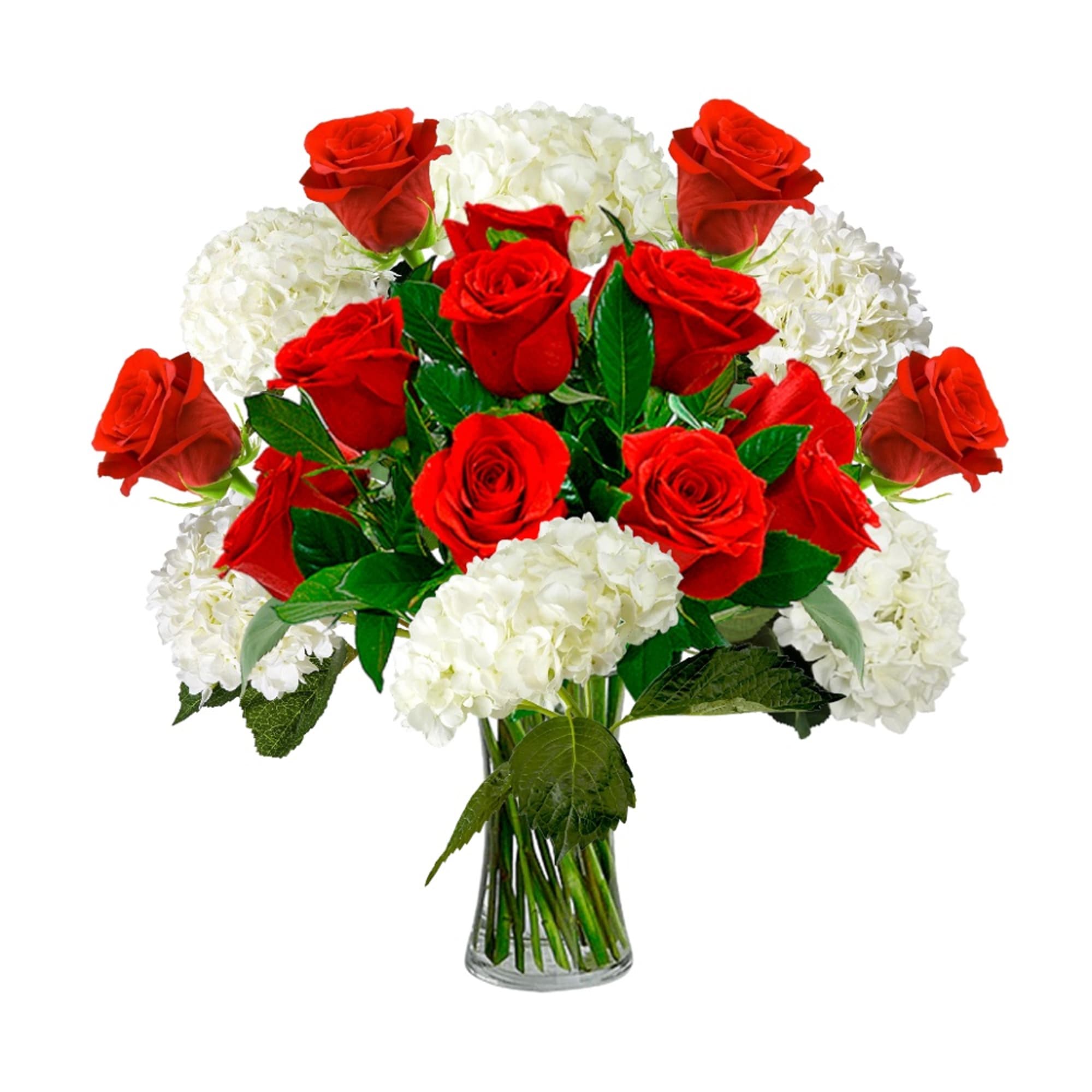 Red roses and white hydrangeas in a clear glass vase, photo 3 of 4