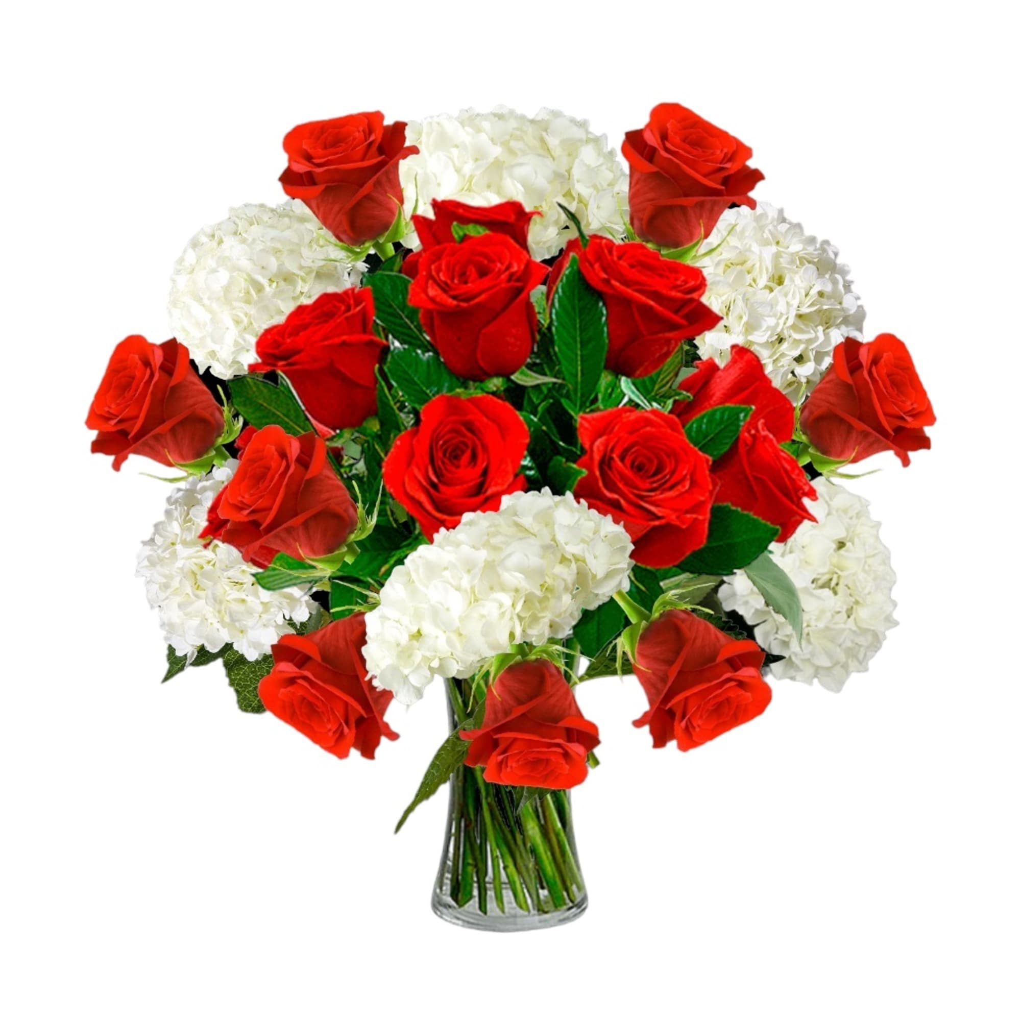 Red roses and white hydrangeas in a clear glass vase
