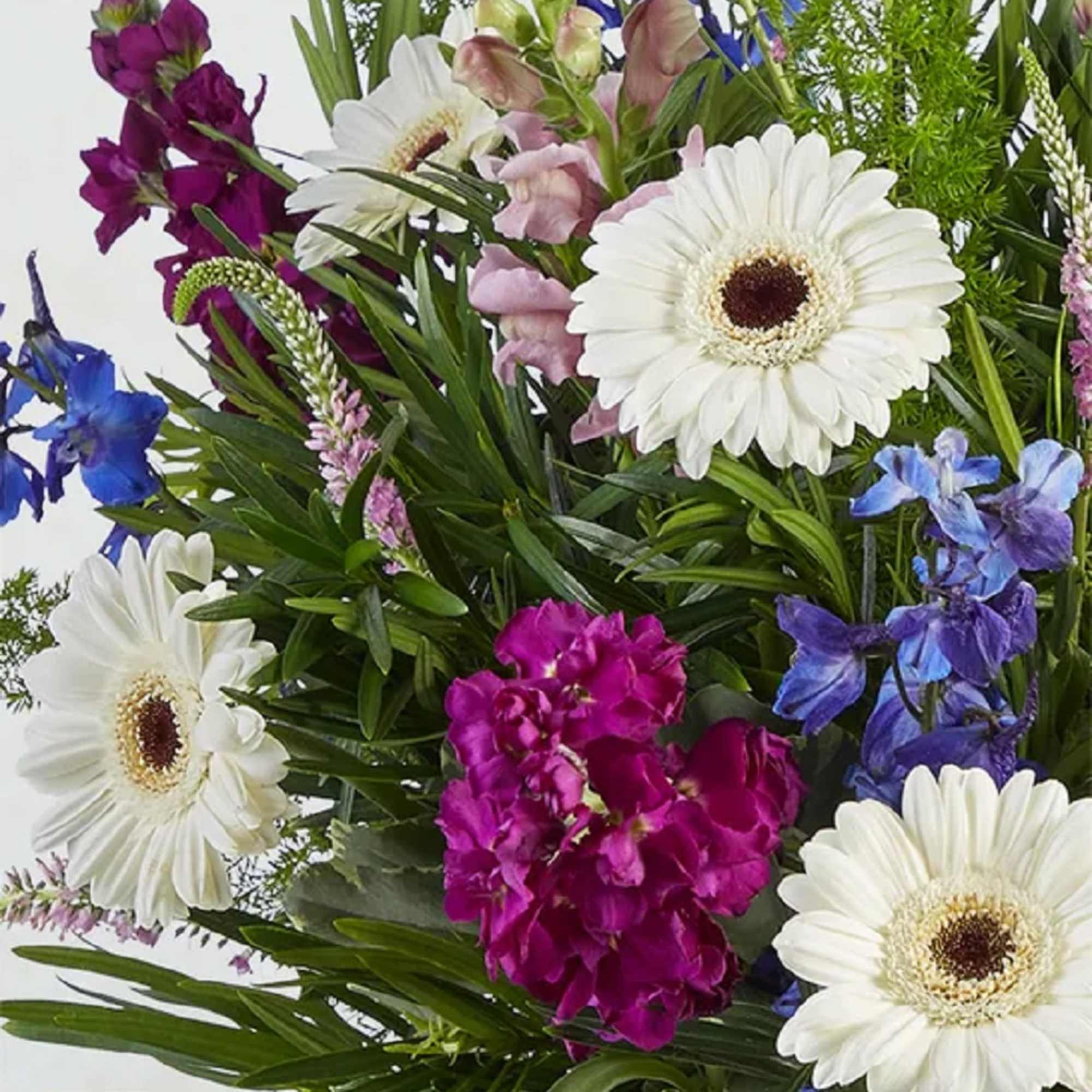 Mixed bouquet with white gerbera daisies and purple flowers
