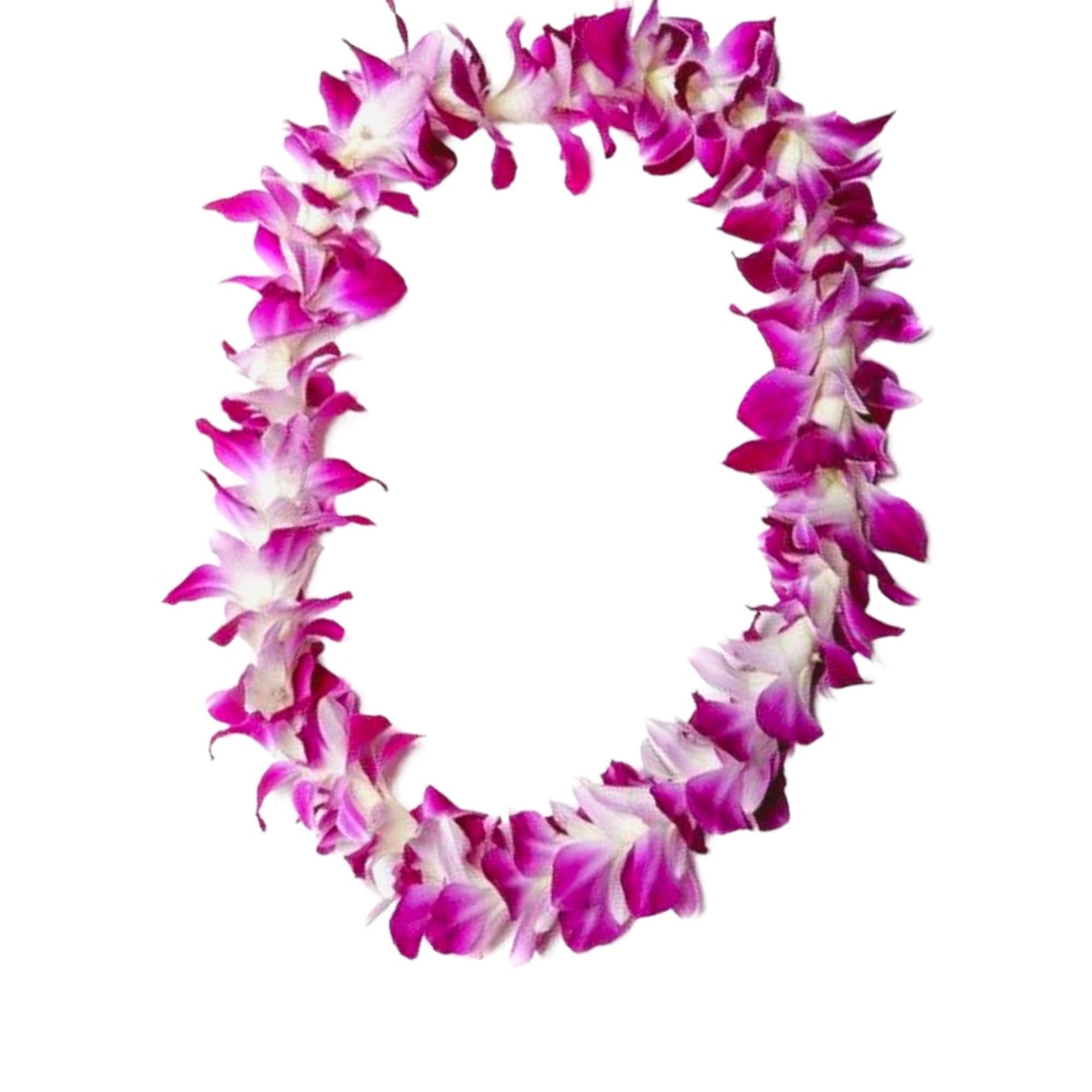 Purple and white flower lei on a white background