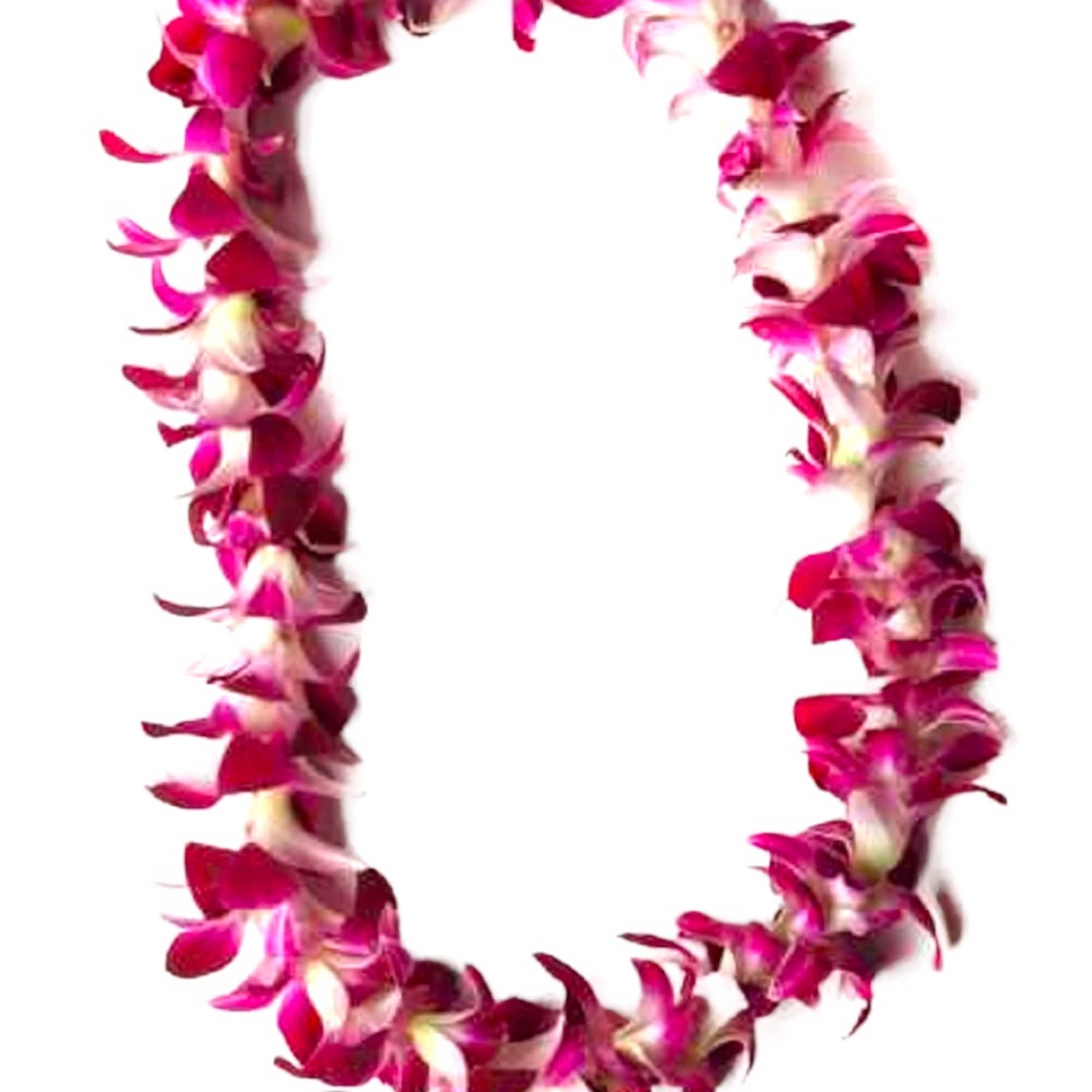 Pink and white orchid lei on a white background, photo 2 of 12
