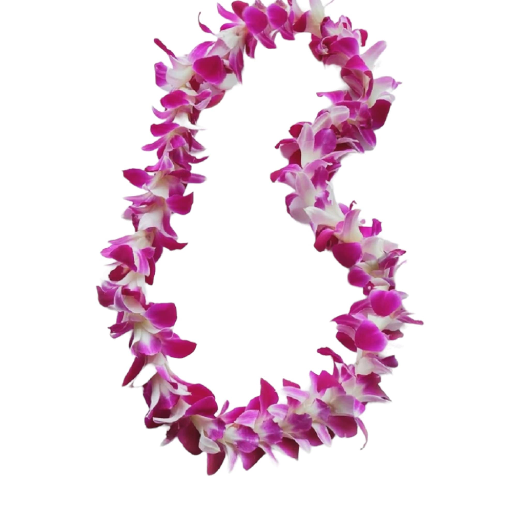 Pink and white orchid lei on a white background, photo 3 of 12