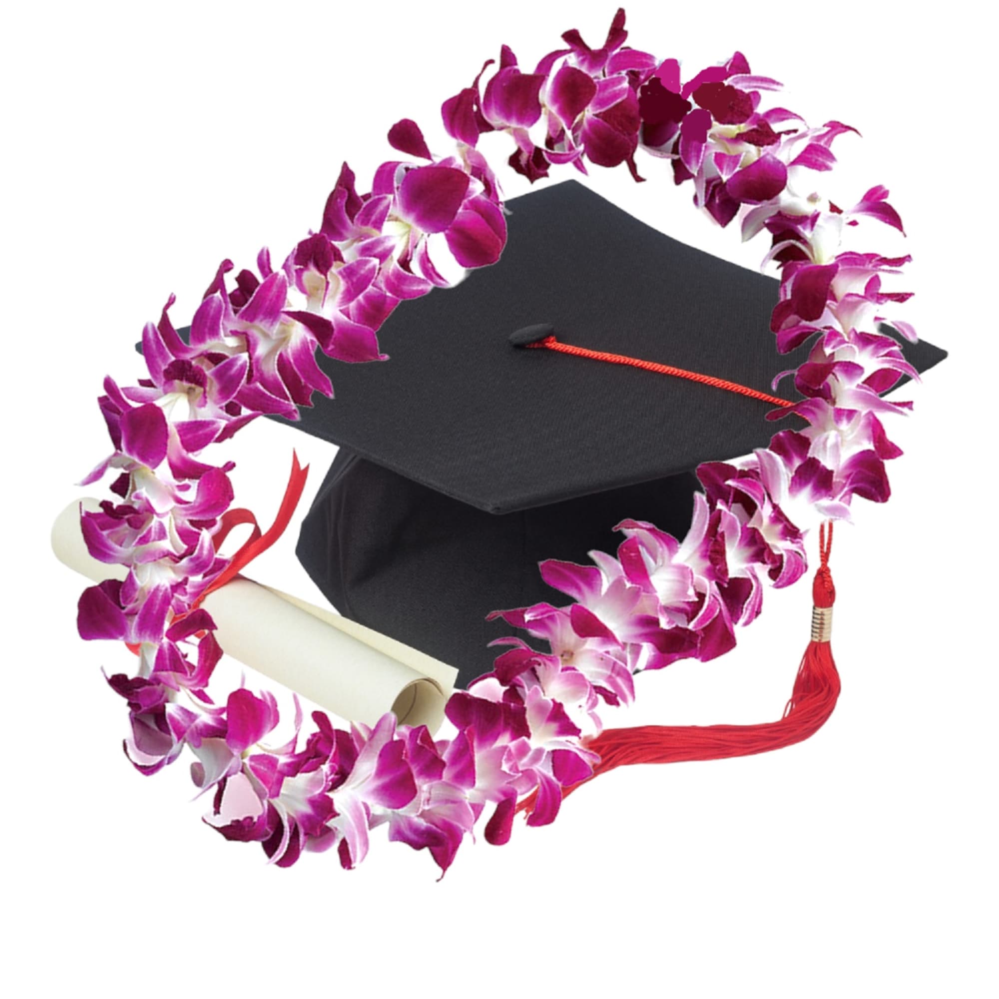Purple orchid lei draped around a black graduation cap with a diploma