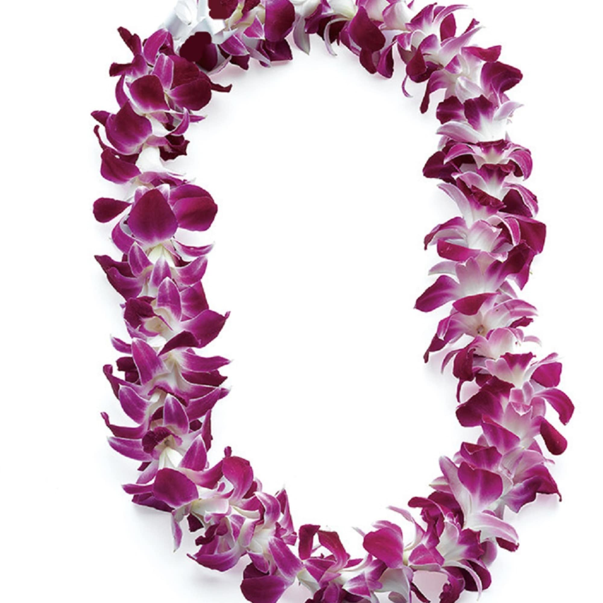 Purple and white orchid lei on a white background, photo 11 of 12