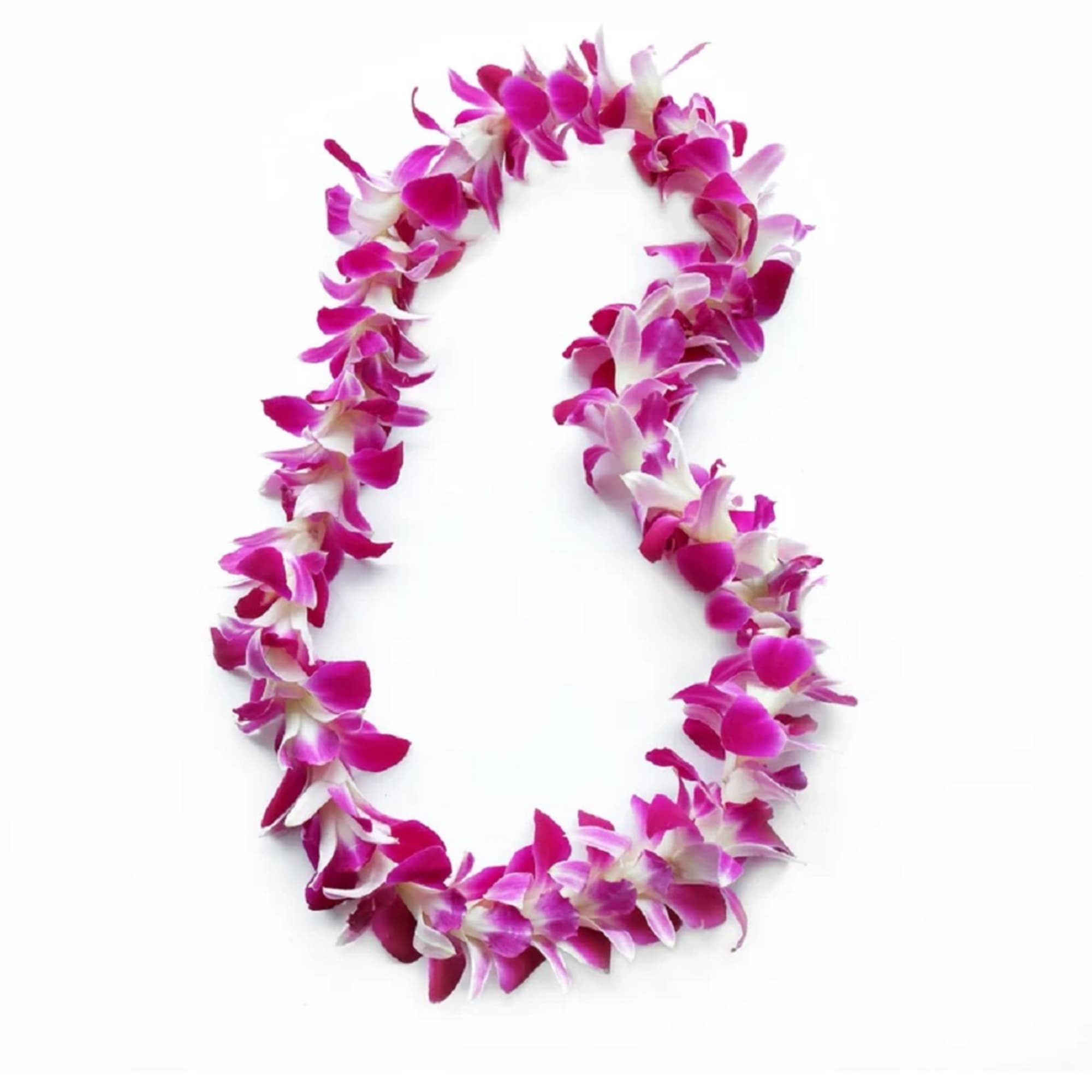 Pink and white orchid lei on a white background, photo 12 of 12