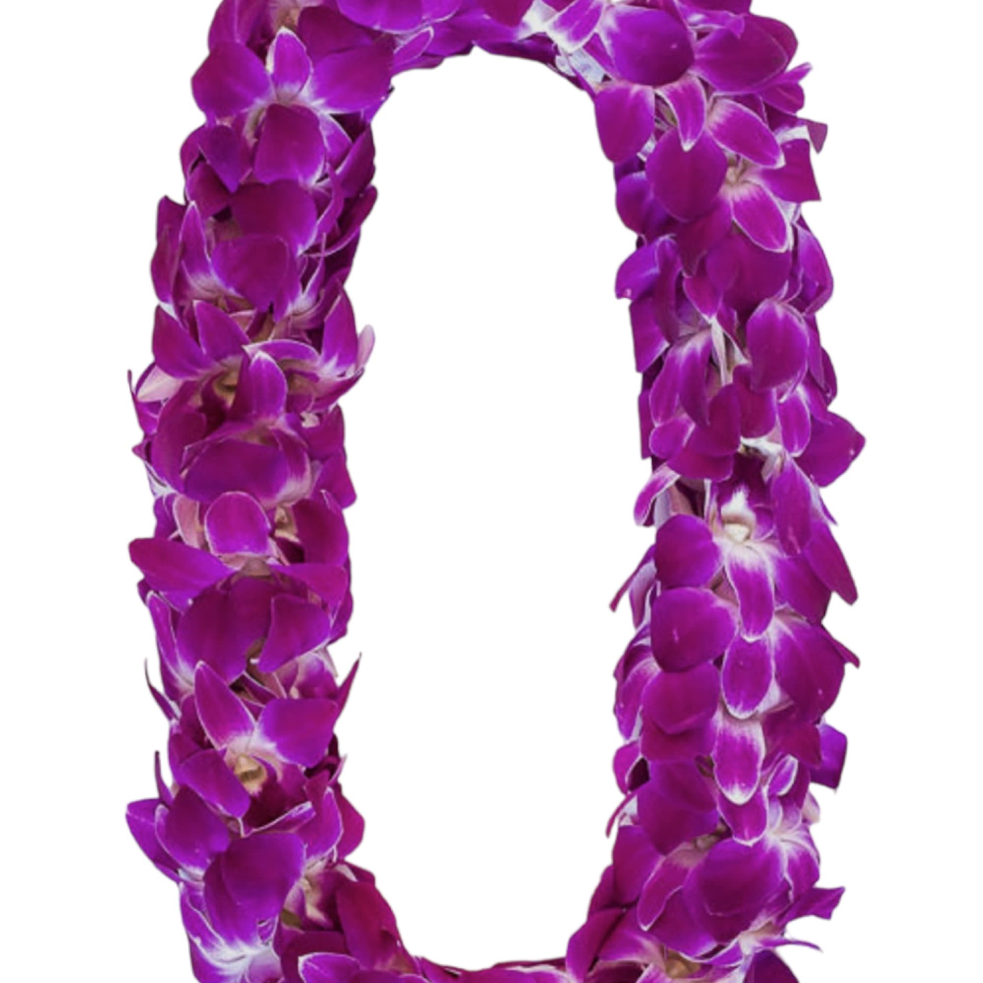 Purple orchid lei on a white background