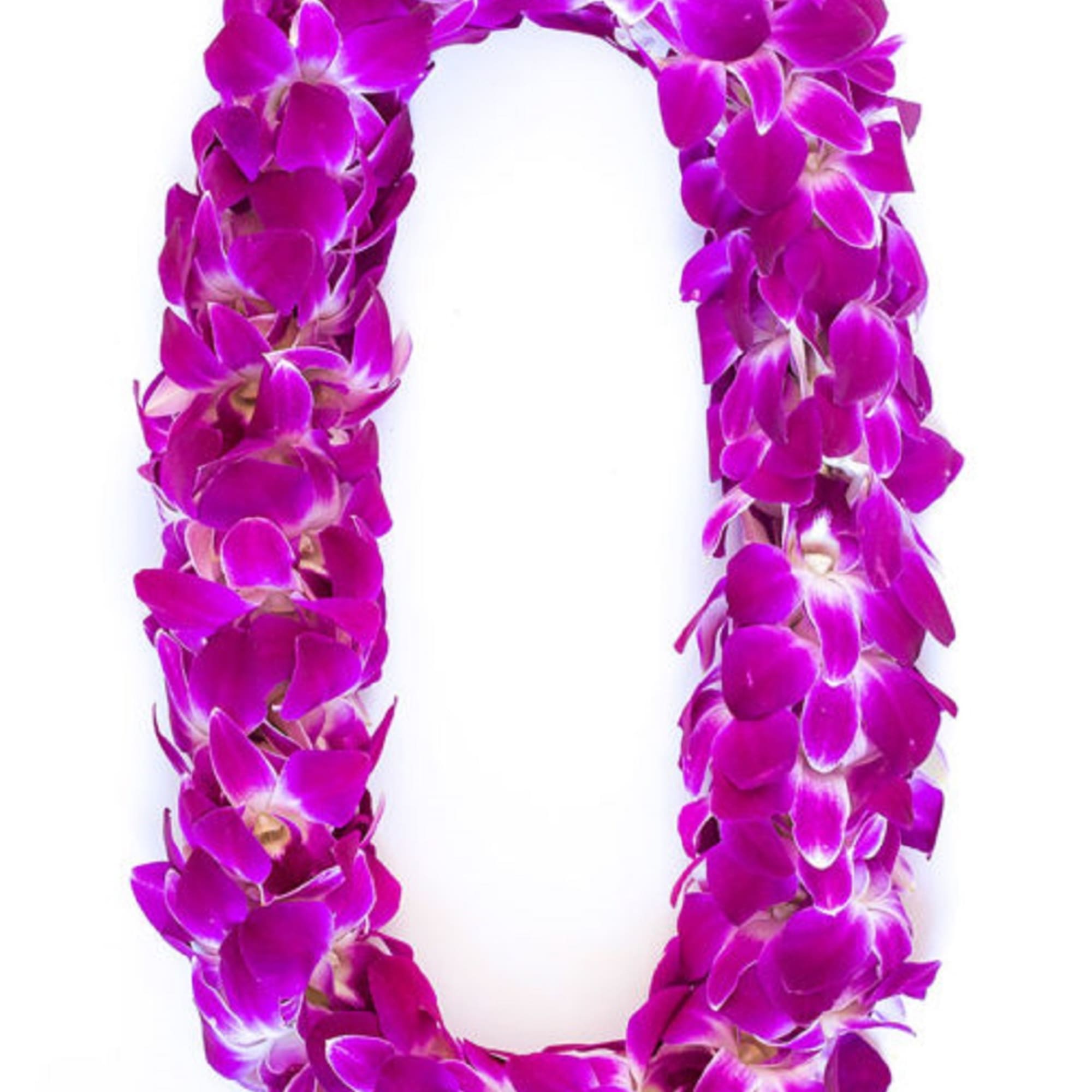 Purple orchid lei on a white background, photo 6 of 14