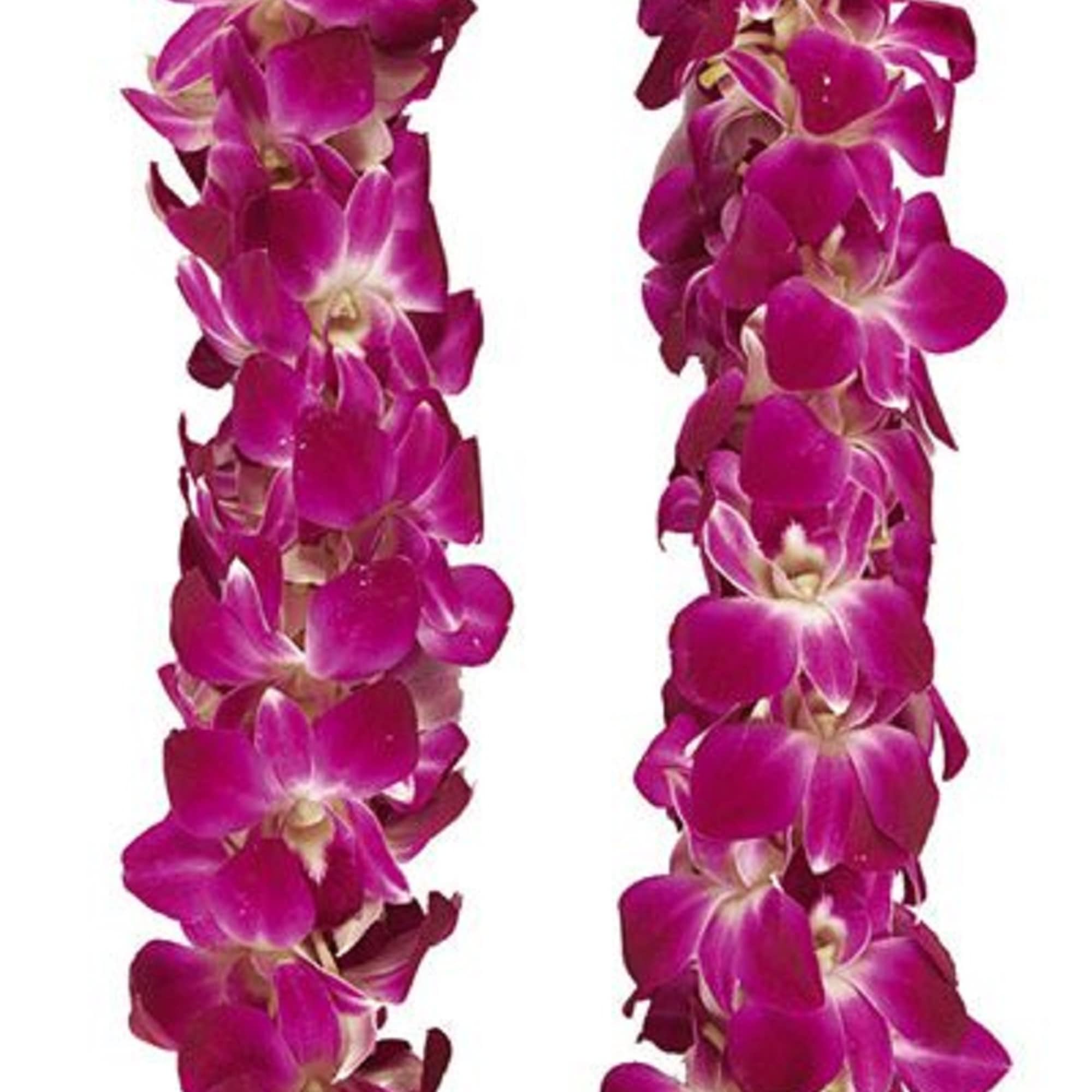 A magenta orchid lei on a white background.