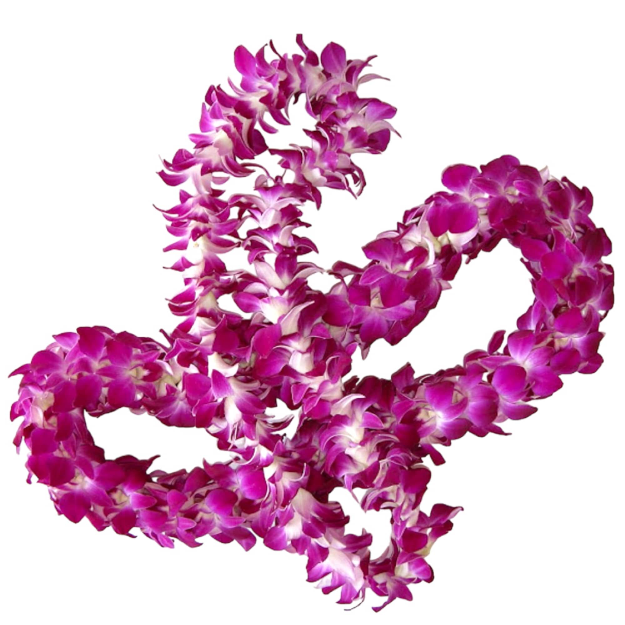 Purple orchid lei on a white background