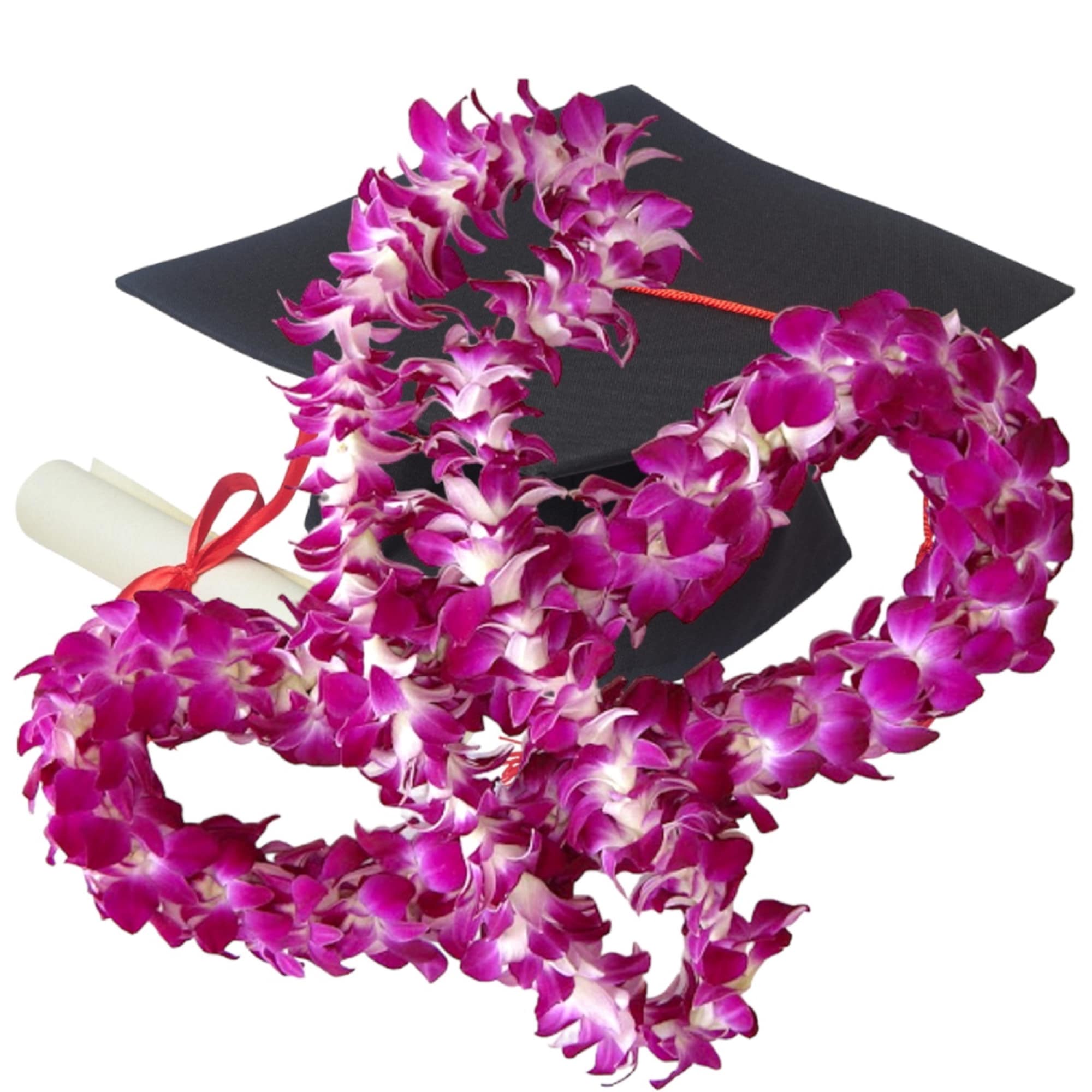 Purple orchid lei draped over a graduation cap and diploma