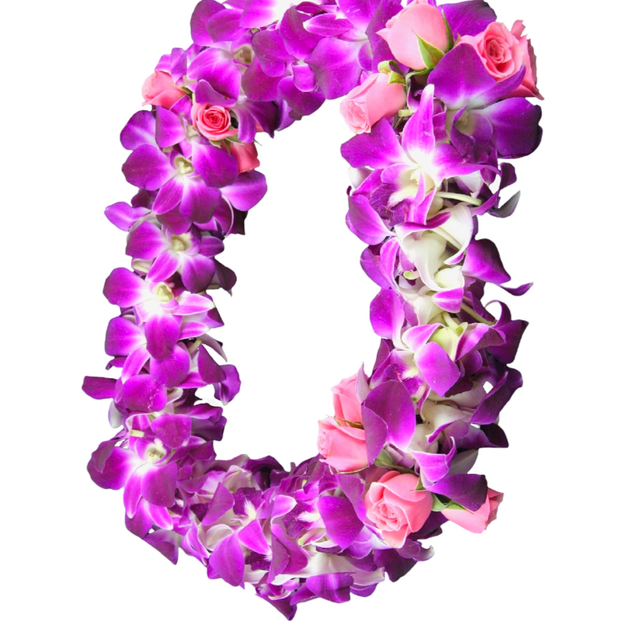 Purple orchid and pink rose floral lei on a white background