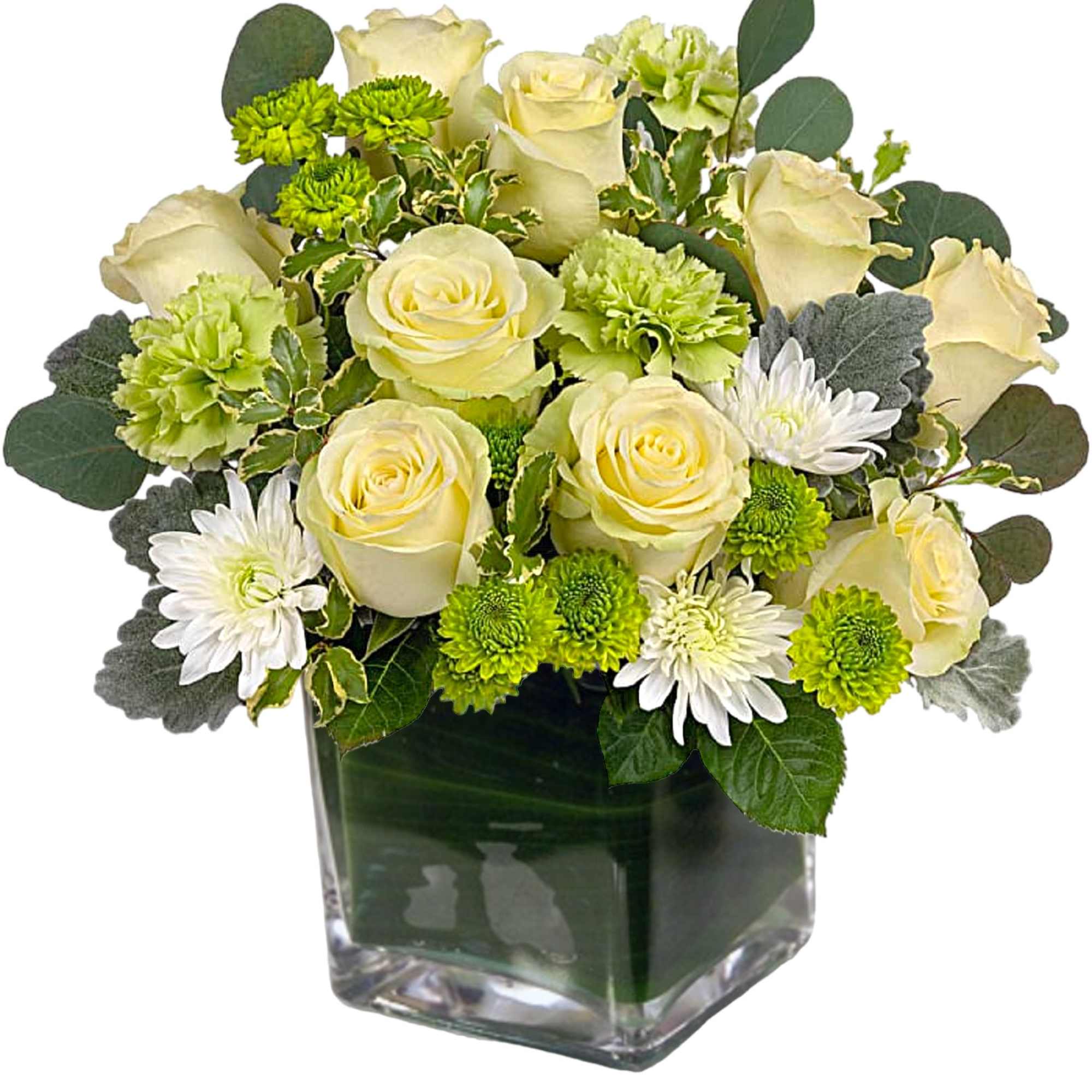 Cream roses and green chrysanthemums in a square glass vase