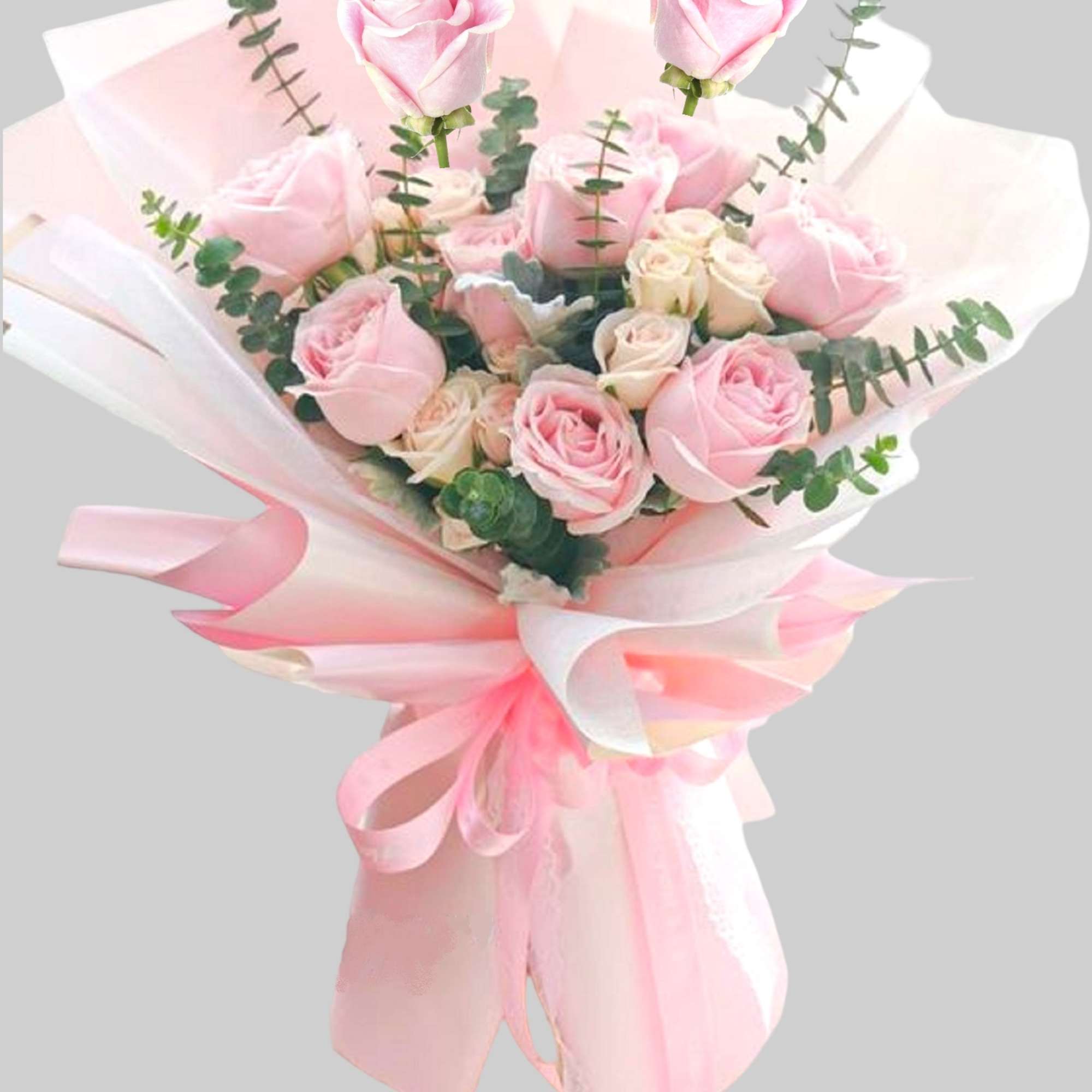 Bouquet of pink roses wrapped in pale pink paper with a ribbon