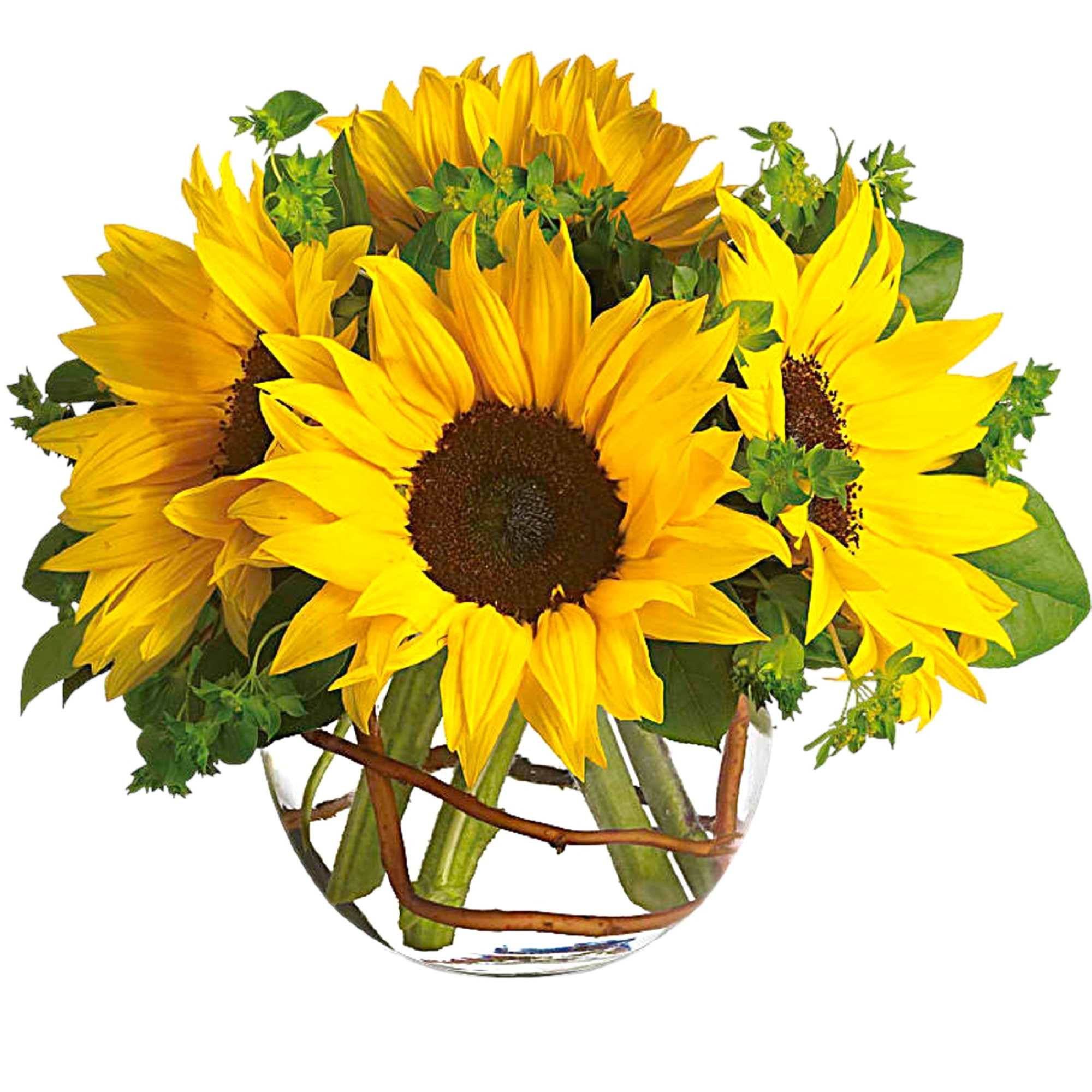 Bouquet of yellow sunflowers in a clear glass vase