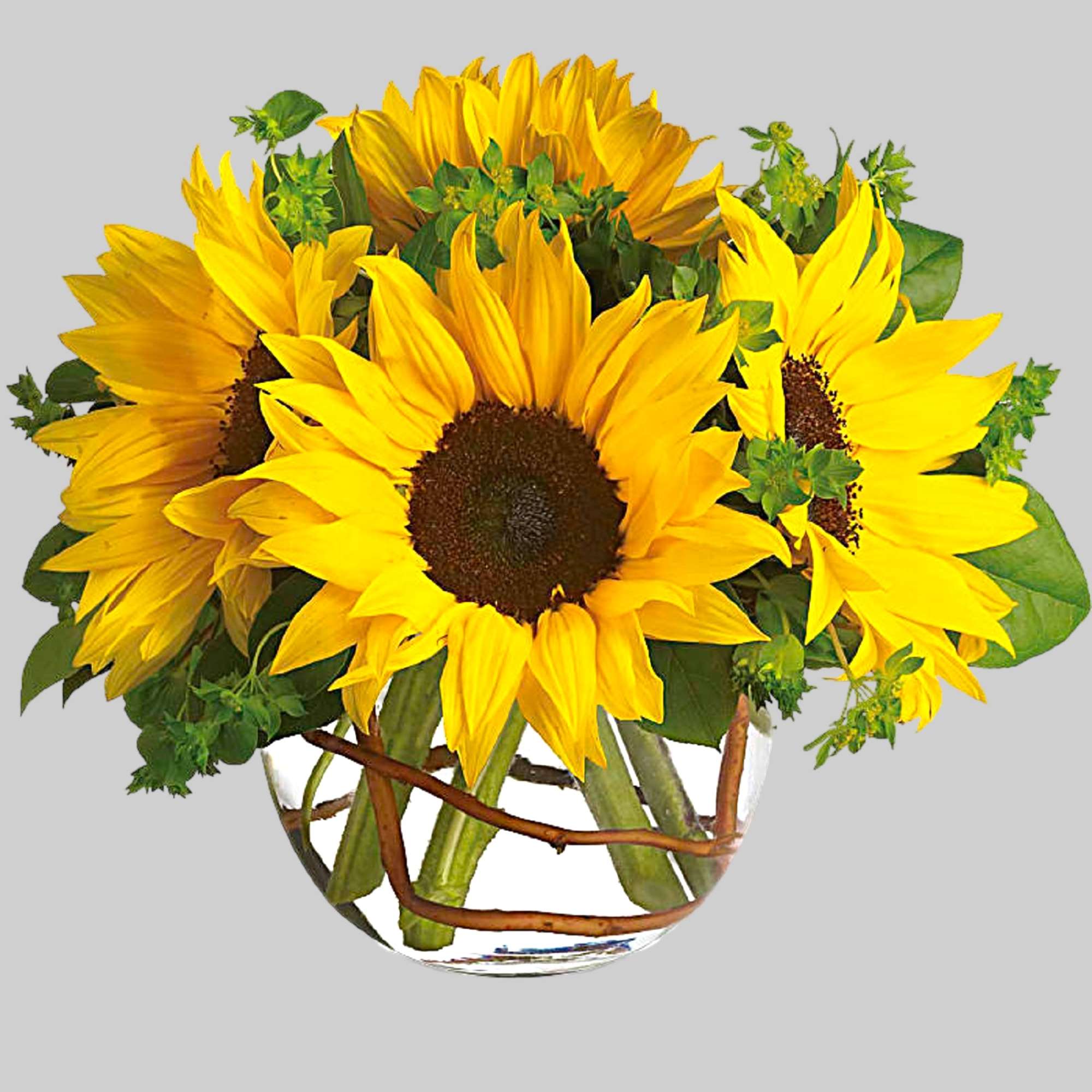 Sunflower bouquet in a clear glass vase, photo 5 of 5
