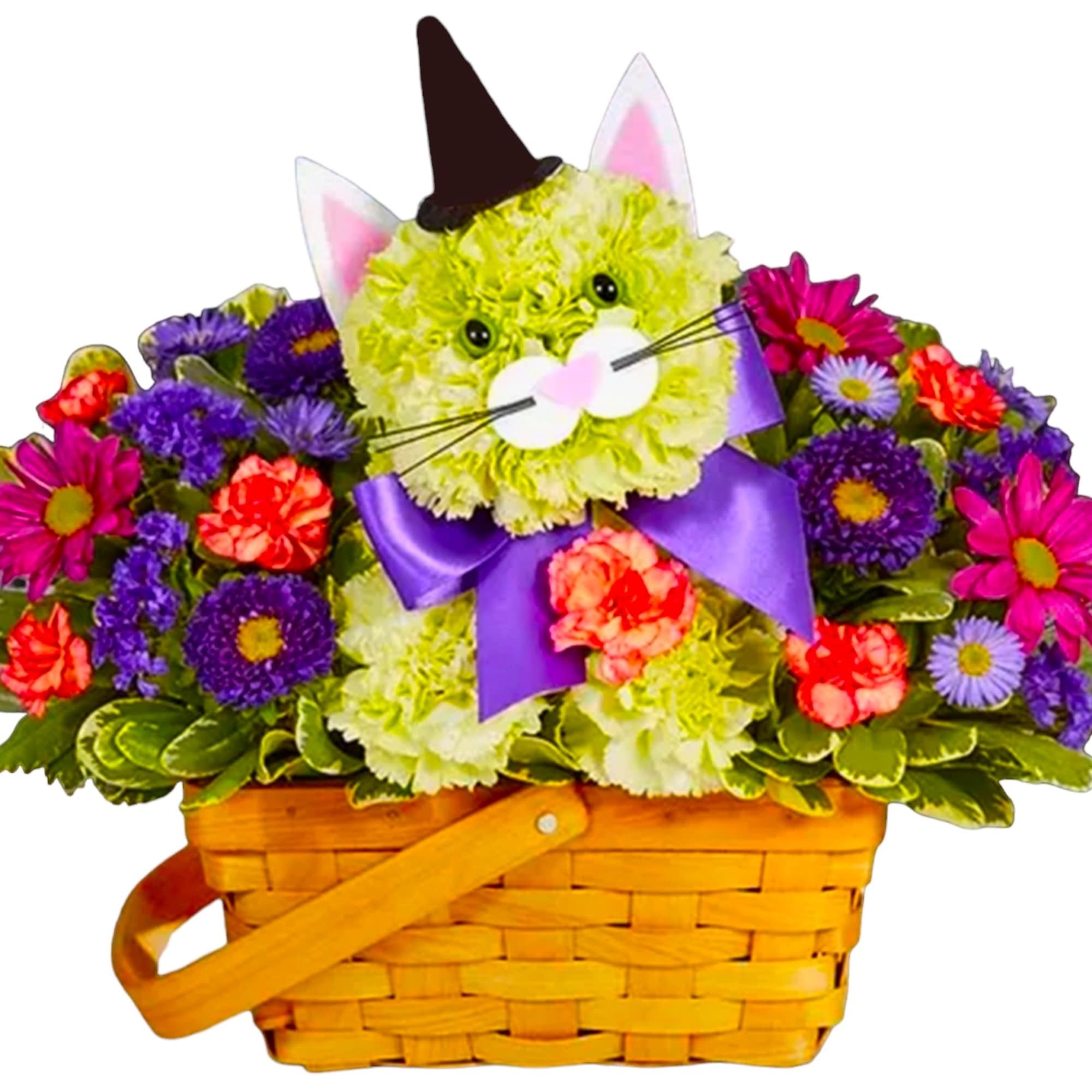 Cat-shaped flower basket with purple ribbon and a witch hat