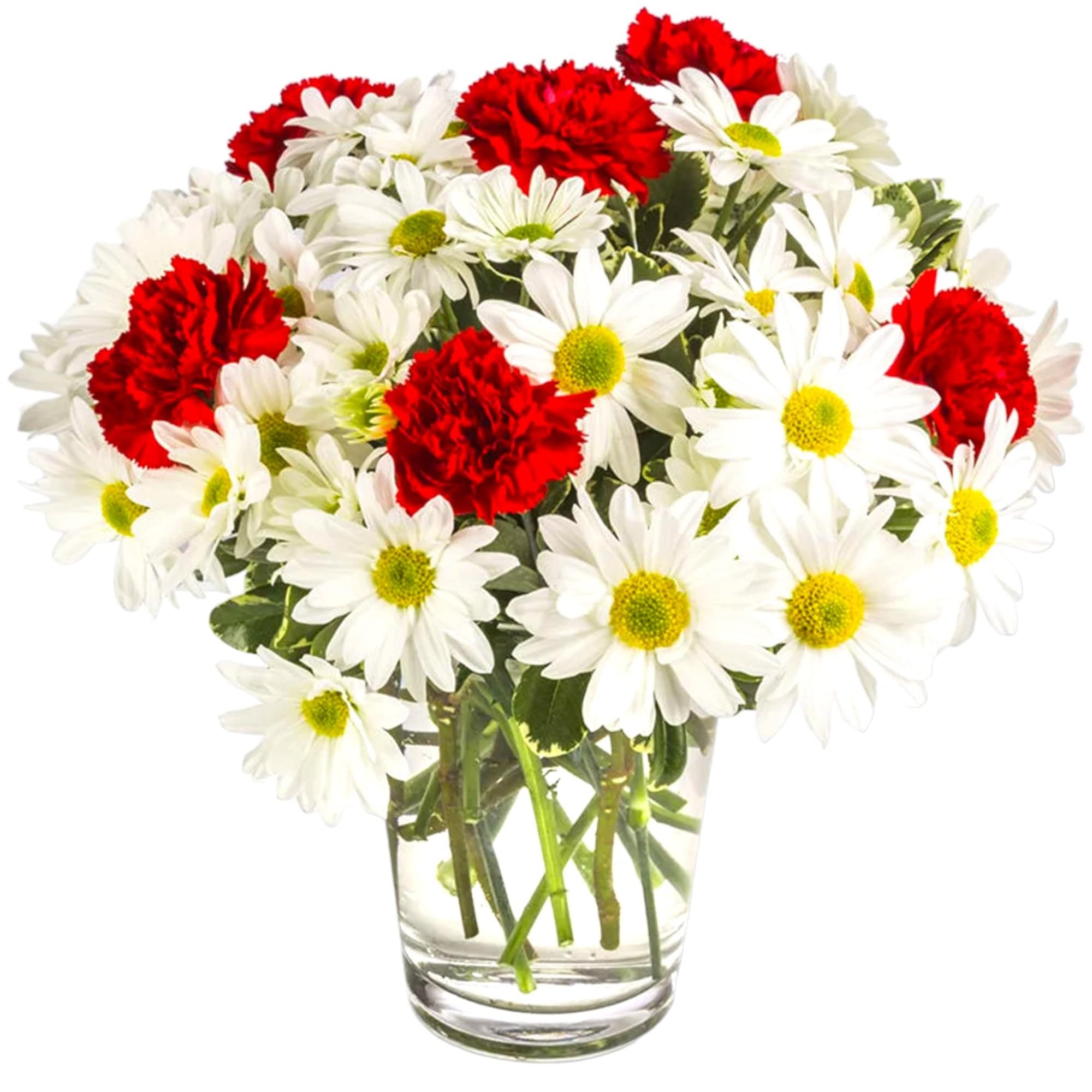 A modest gift that will make a lasting impression. Daisy Crazy by, photo 4 of 4