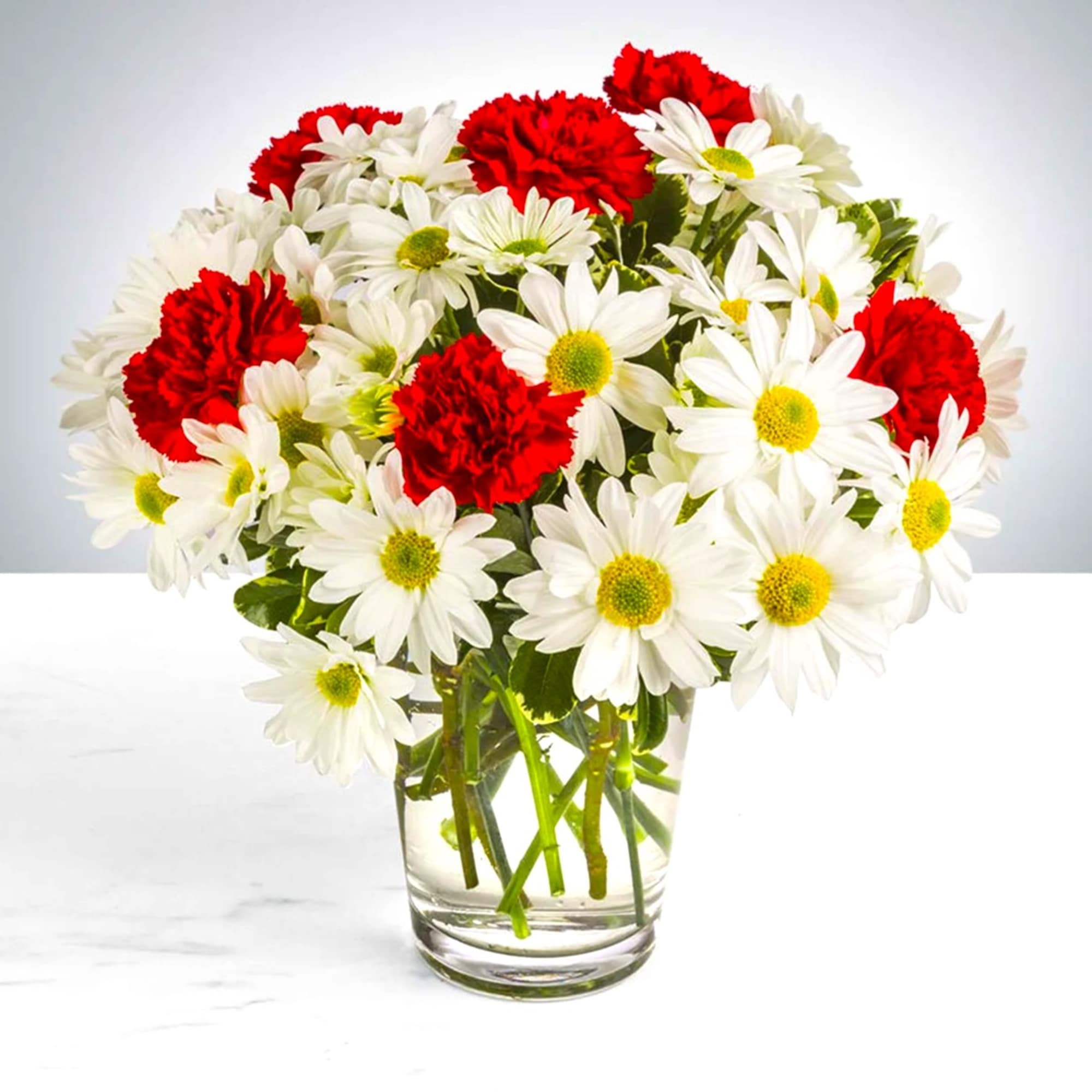 A modest gift that will make a lasting impression. Daisy Crazy by, photo 3 of 4