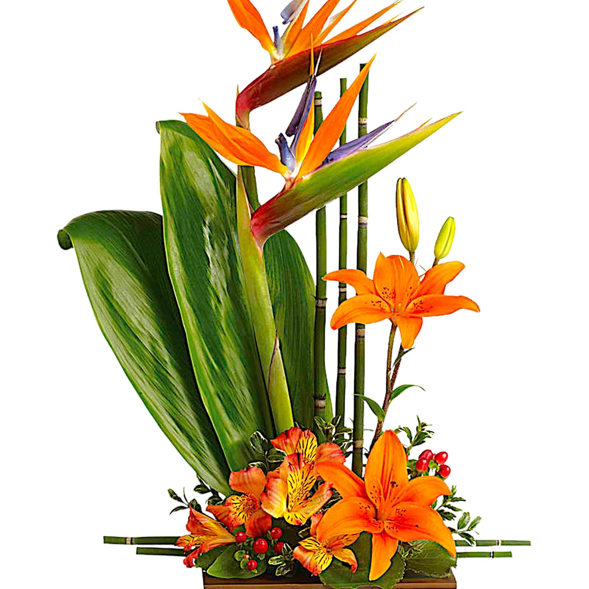 Orange lilies and bird-of-paradise in a rectangular vase