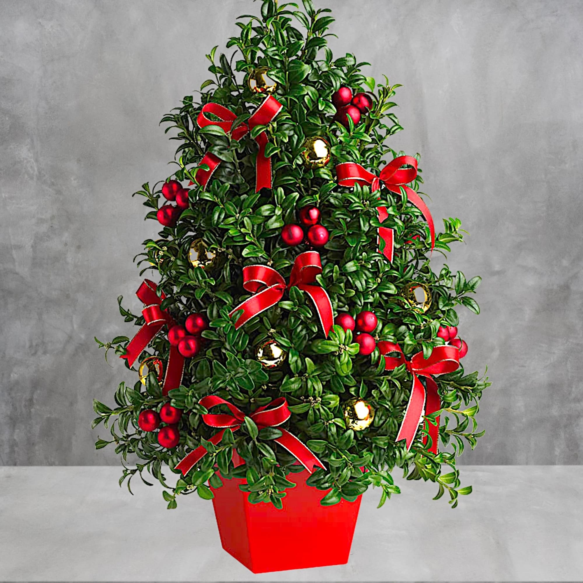 Decorated evergreen topiary in a red pot with red ribbons and ornaments