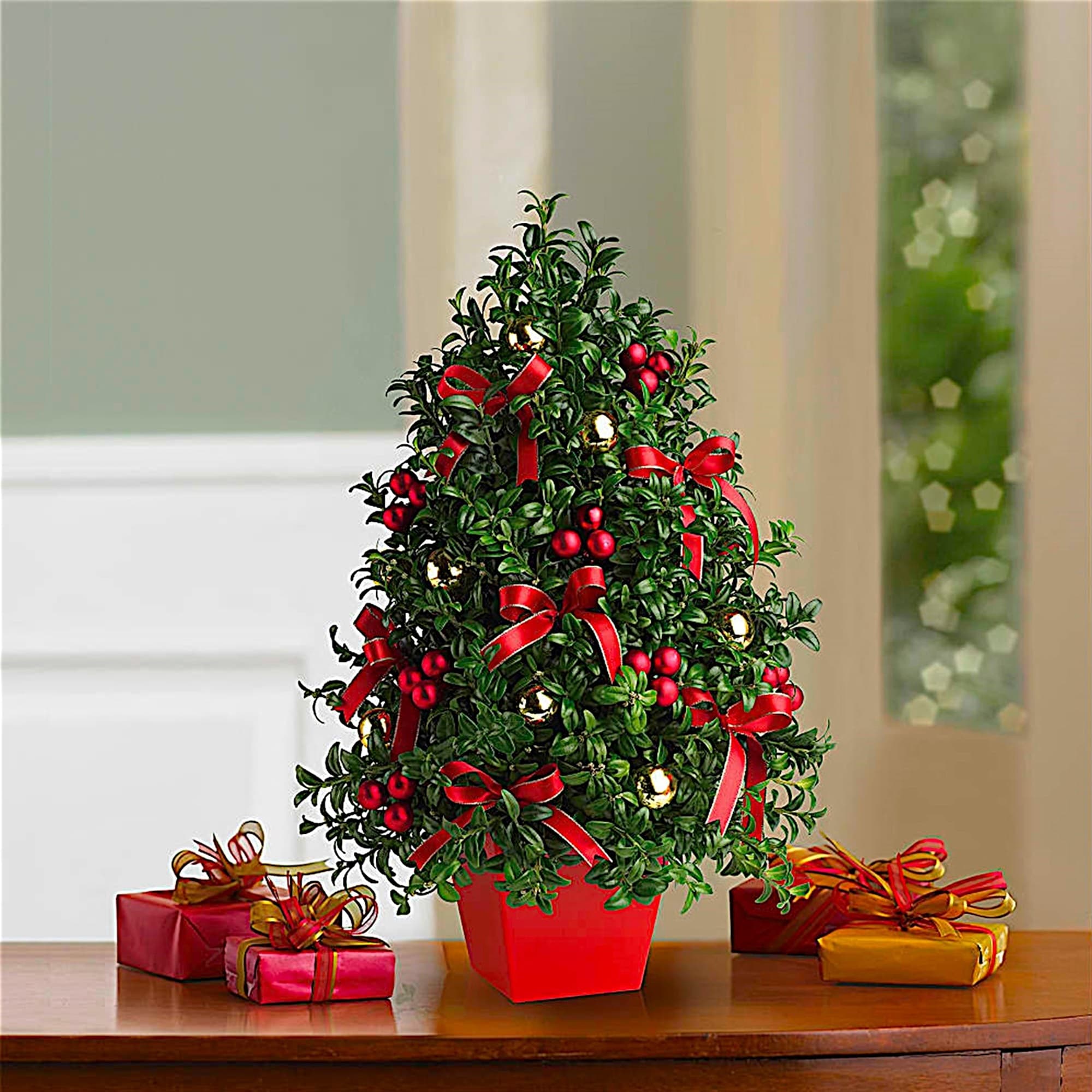 Small decorated evergreen tree in a red pot with gift boxes nearby