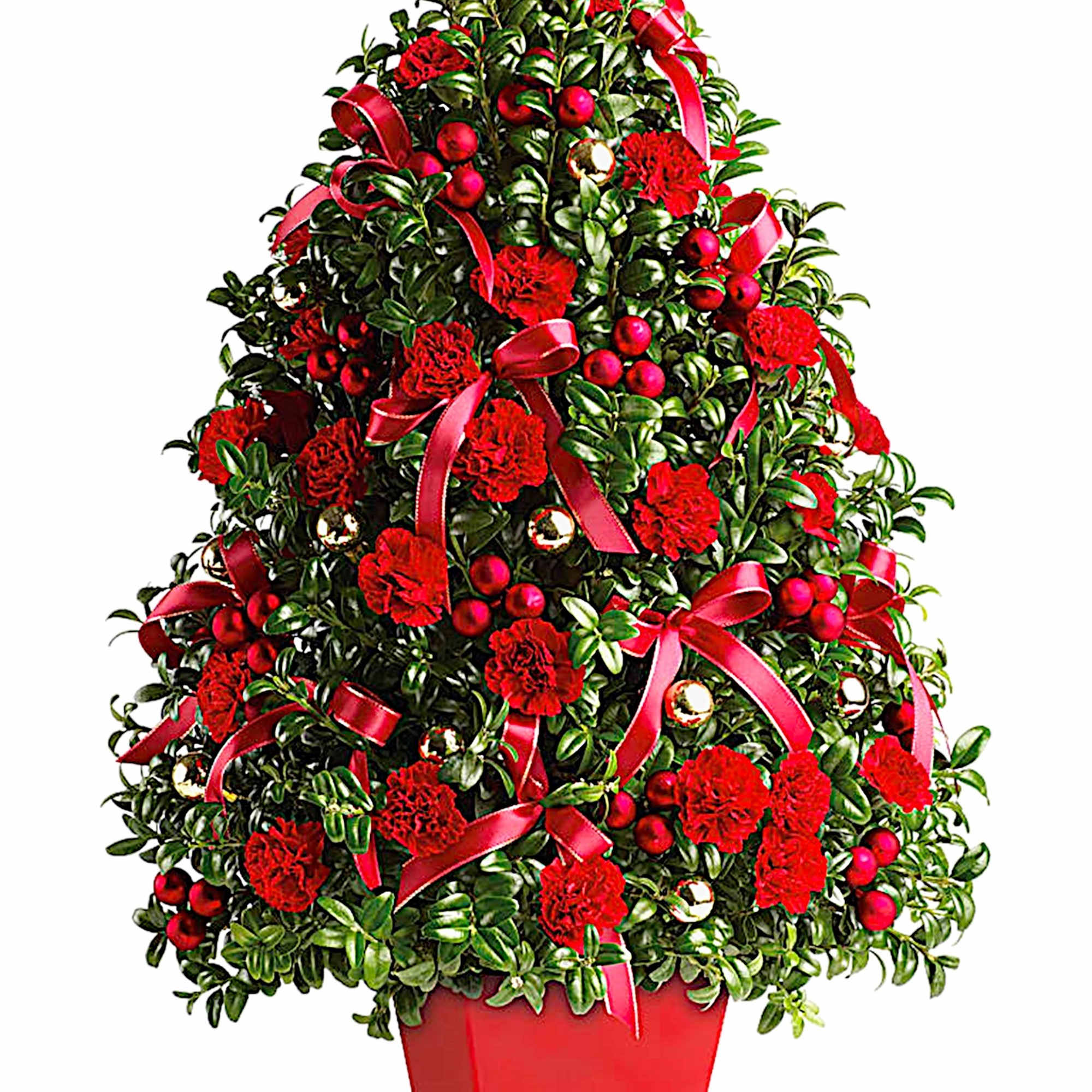 Potted holiday arrangement with red carnations, ribbons, and berries