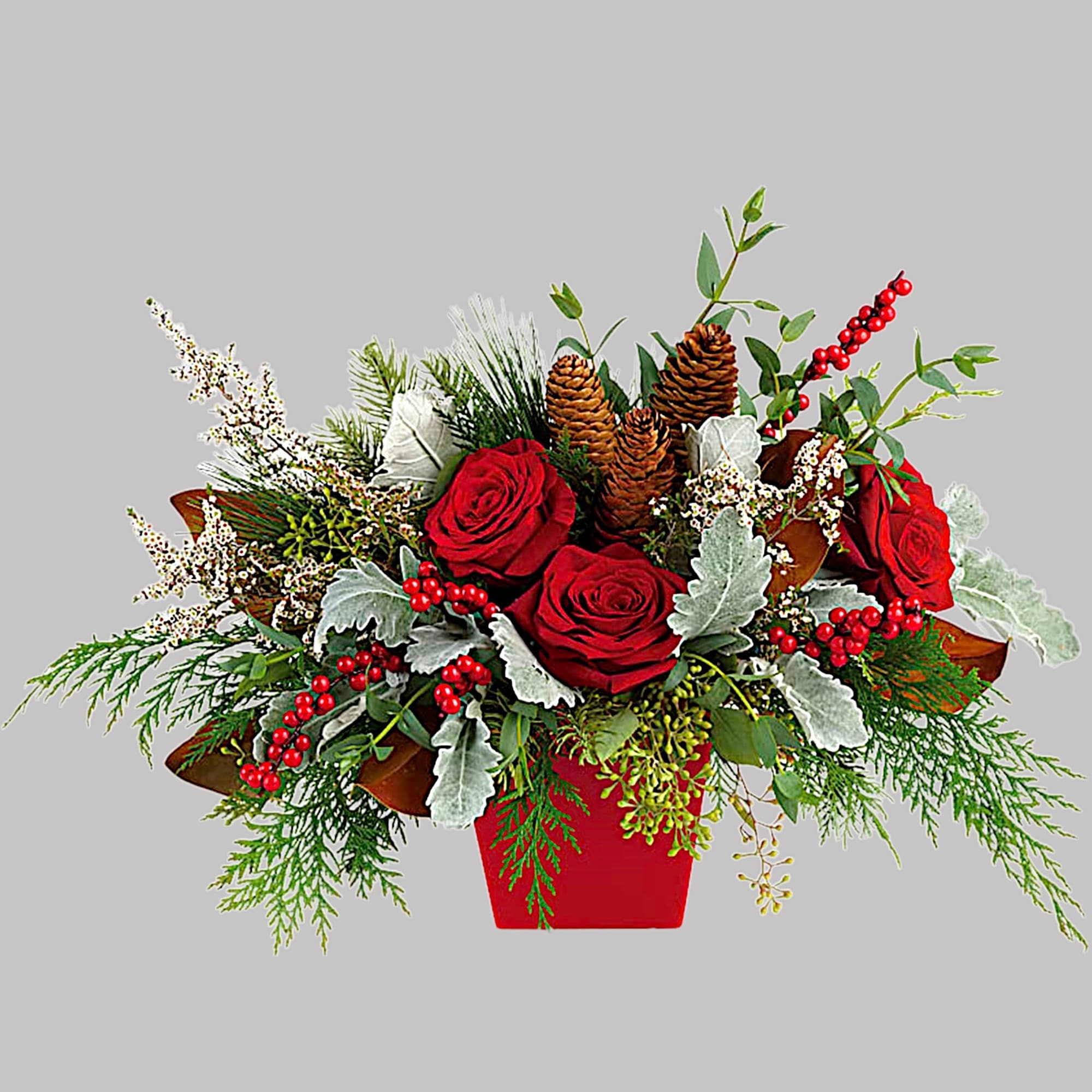 Red roses in a red container with pinecones and winter greenery