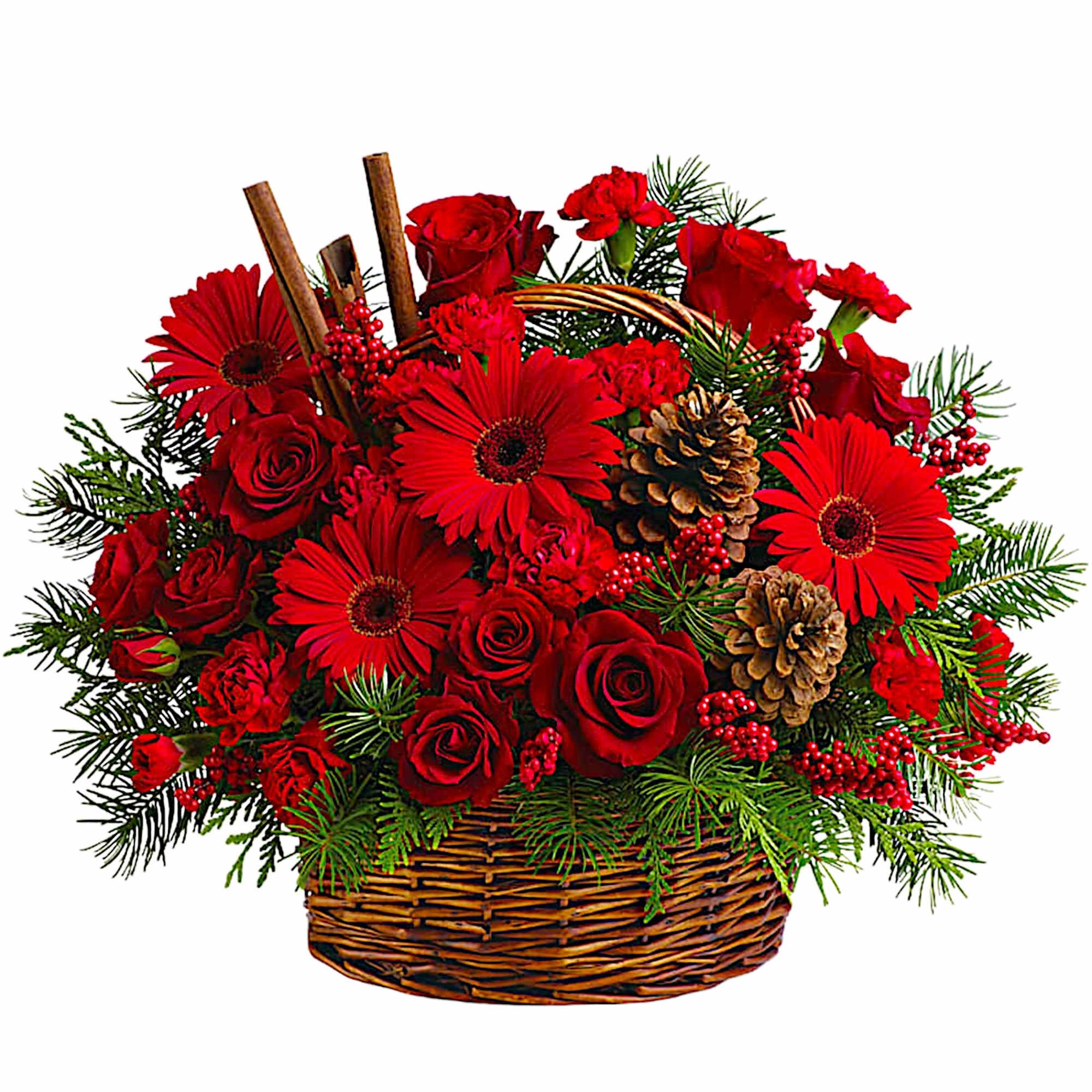 Red roses and gerbera daisies in a wicker basket with pinecones