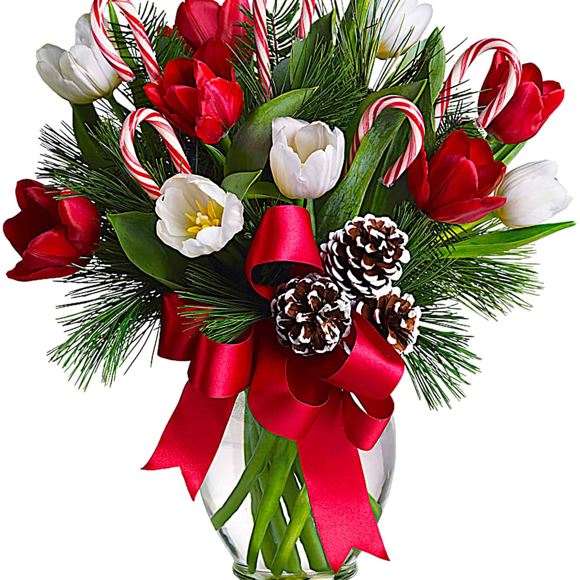 Red and white tulips with candy canes in a glass vase
