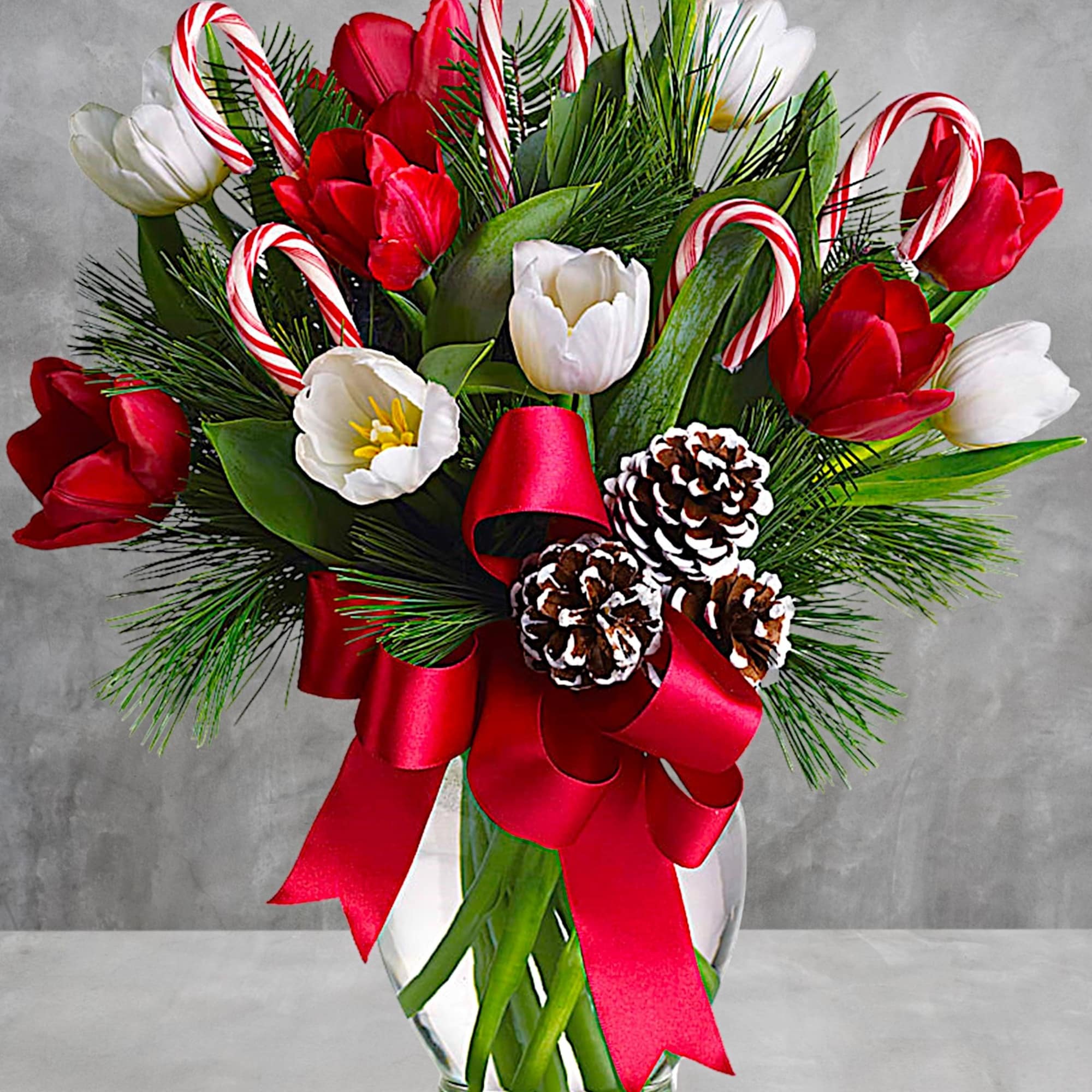 Bouquet of red and white tulips with candy canes in a glass vase
