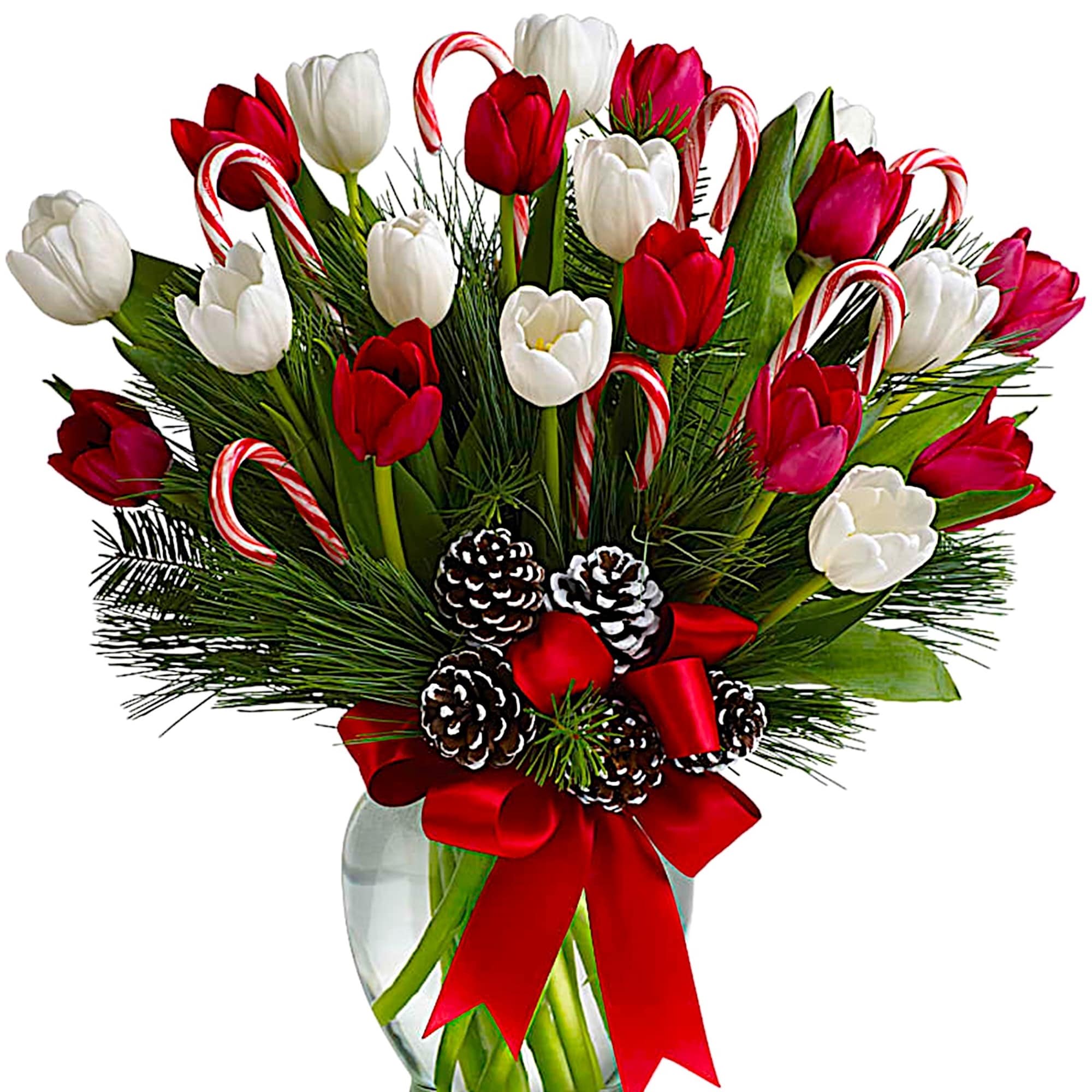 Bouquet of red and white tulips with candy canes in a glass vase