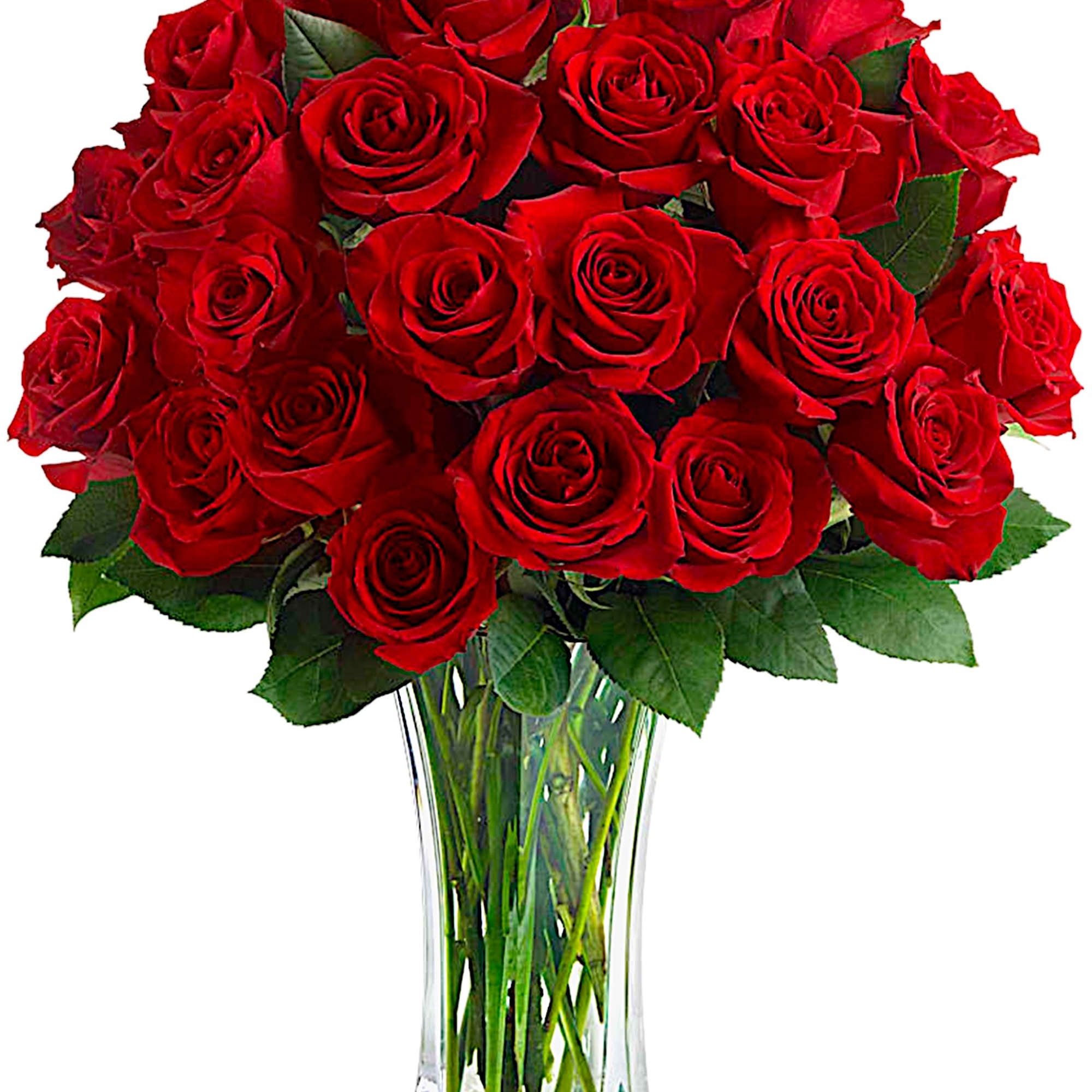 Bouquet of red roses in a clear glass vase