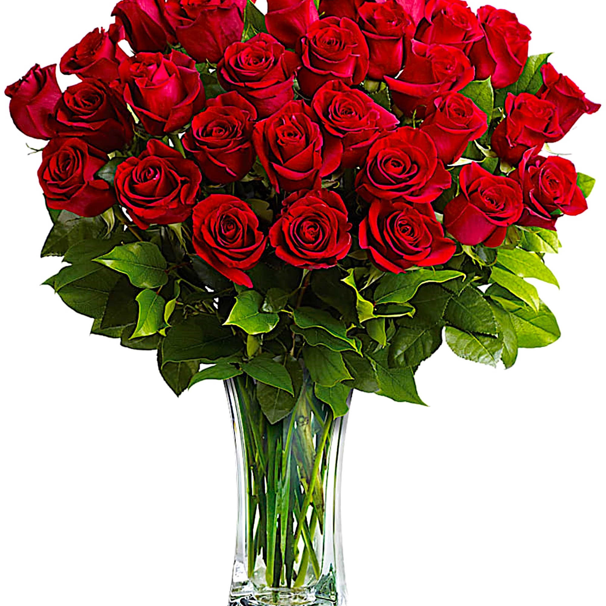 Bouquet of red roses in a clear glass vase