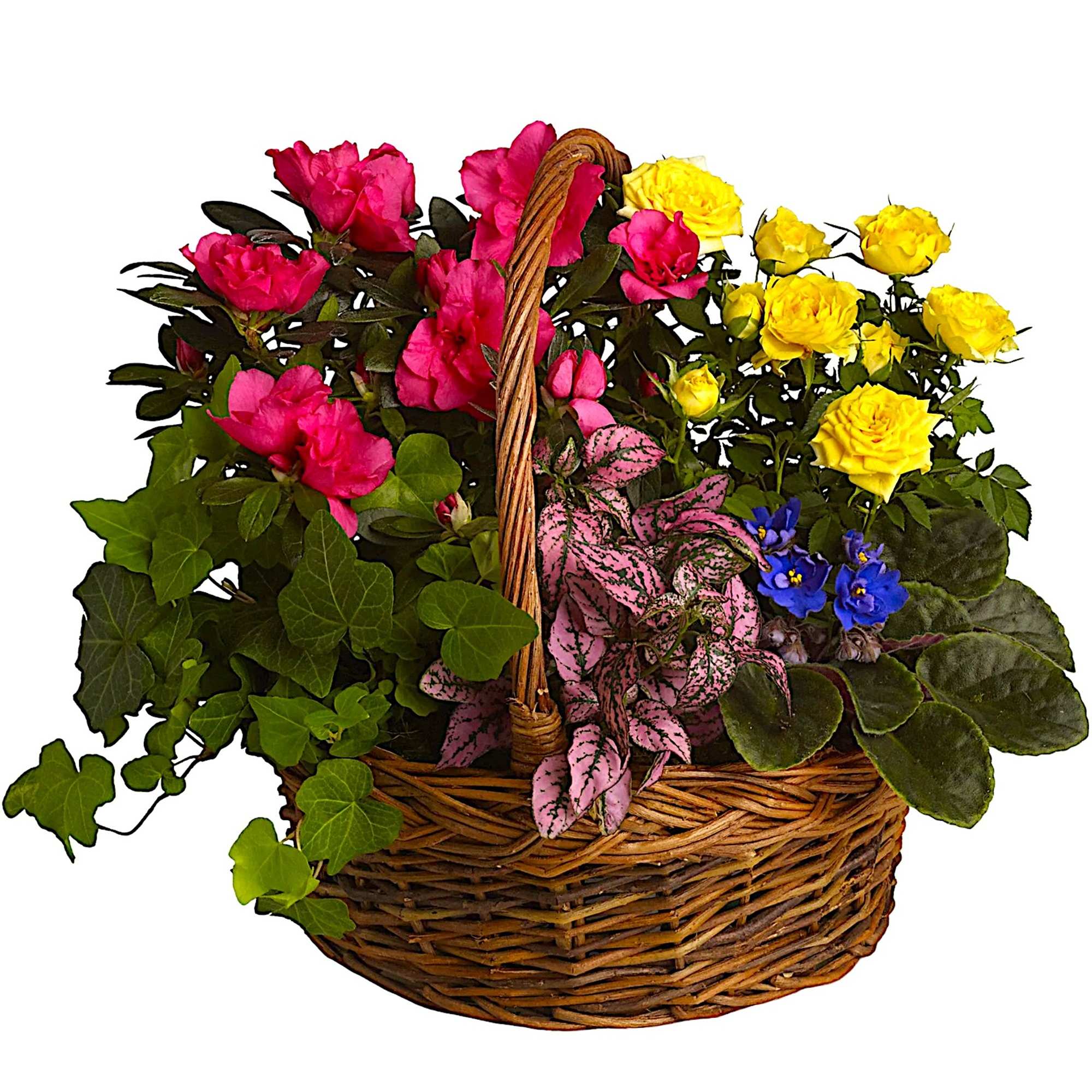 Basket of pink and yellow roses with mixed foliage and small blue flowers