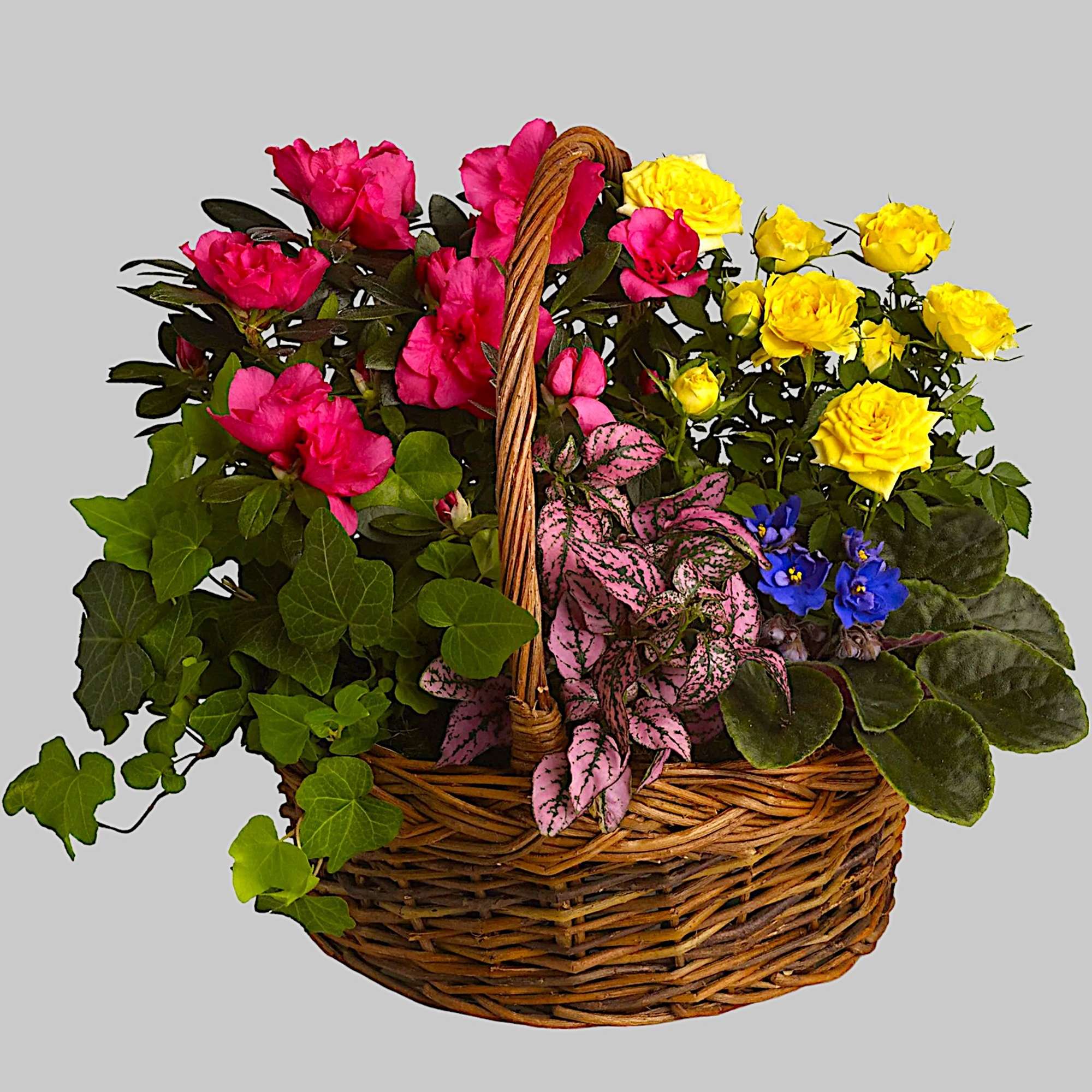 Basket of pink and yellow roses with mixed foliage and small blue flowers, photo 5 of 5